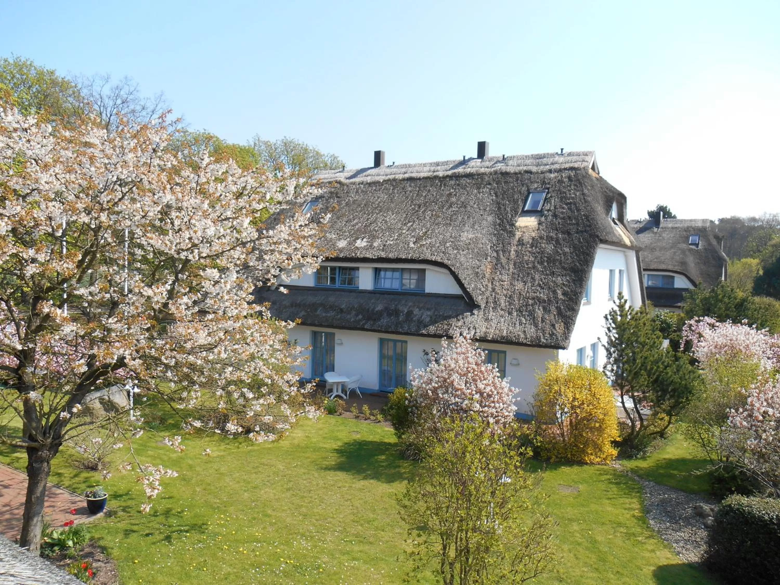 Garden in Landhotel Kastanienallee Putbus