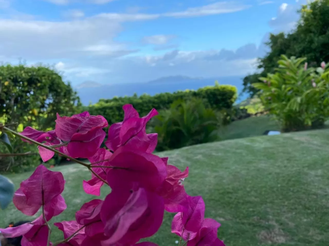Villa Cajou chambres d'hôtes chez l'habitant et Zanzibar cottage