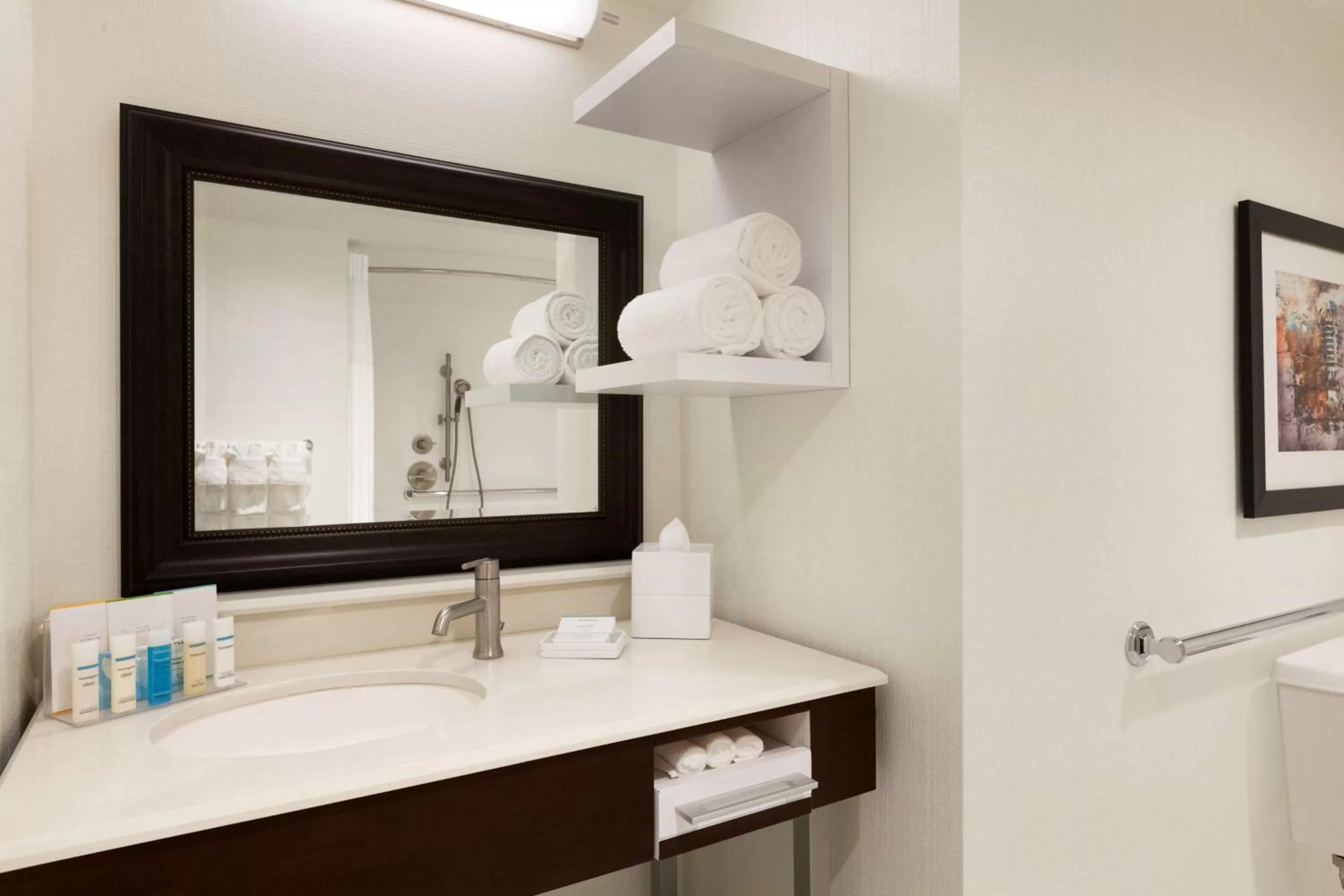 Bathroom in Hampton Inn & Suites Nashville-Downtown