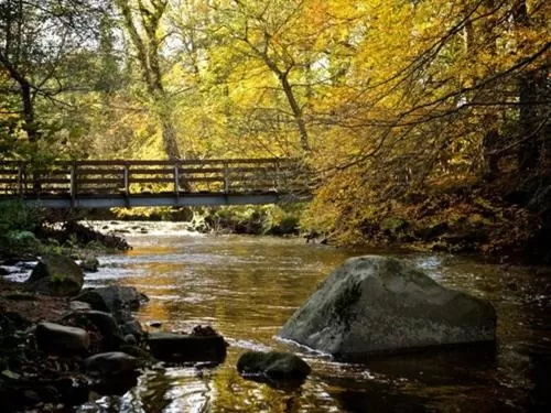 Activities in The Sun Inn