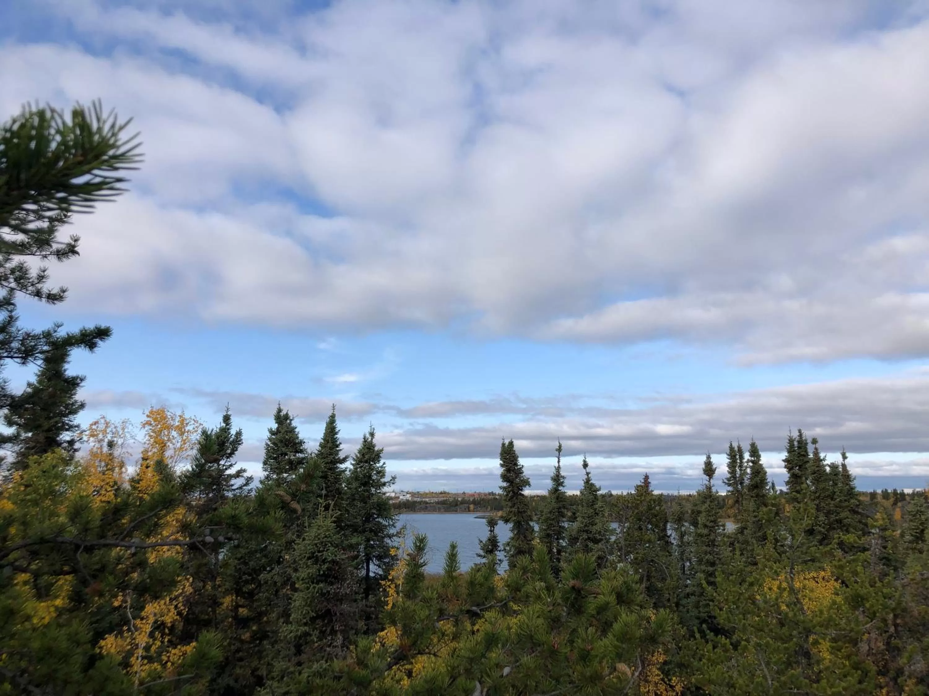 View (from property/room) in 好丘。Hacho House