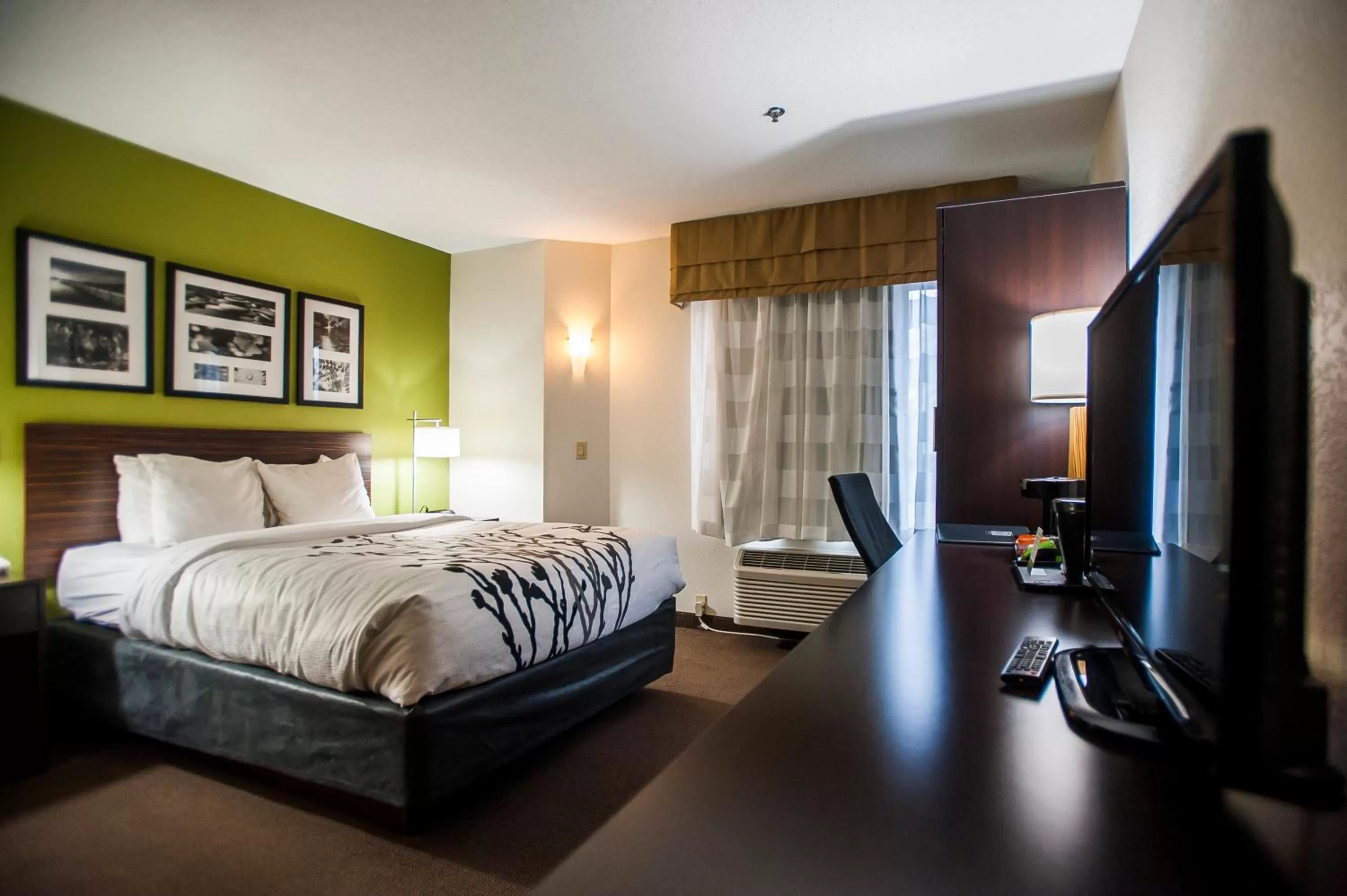 Queen Room - Disability Access/Non-Smoking in Sleep Inn