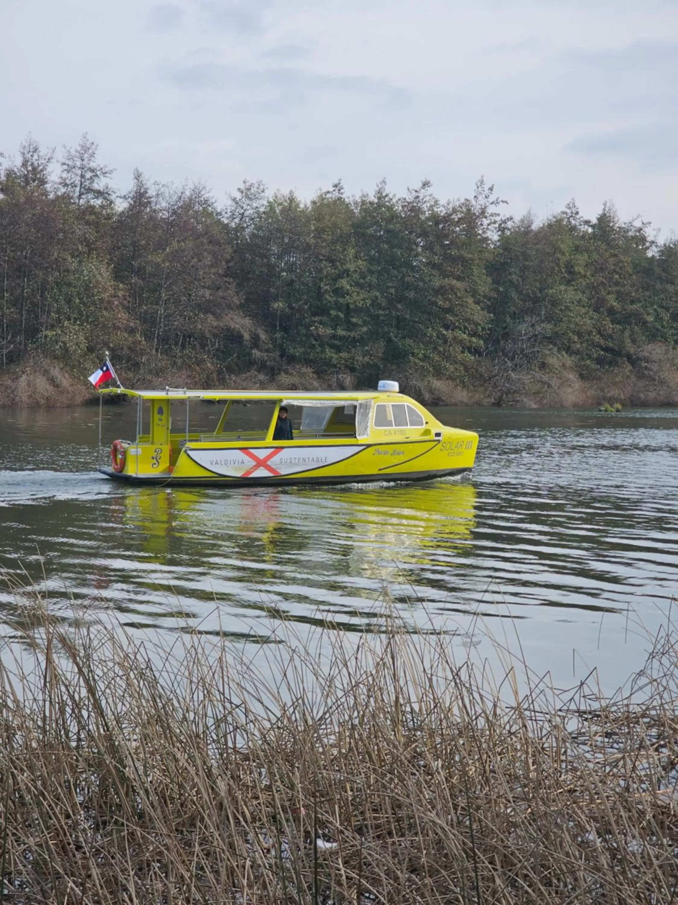 Off site in Cabañas Rosner