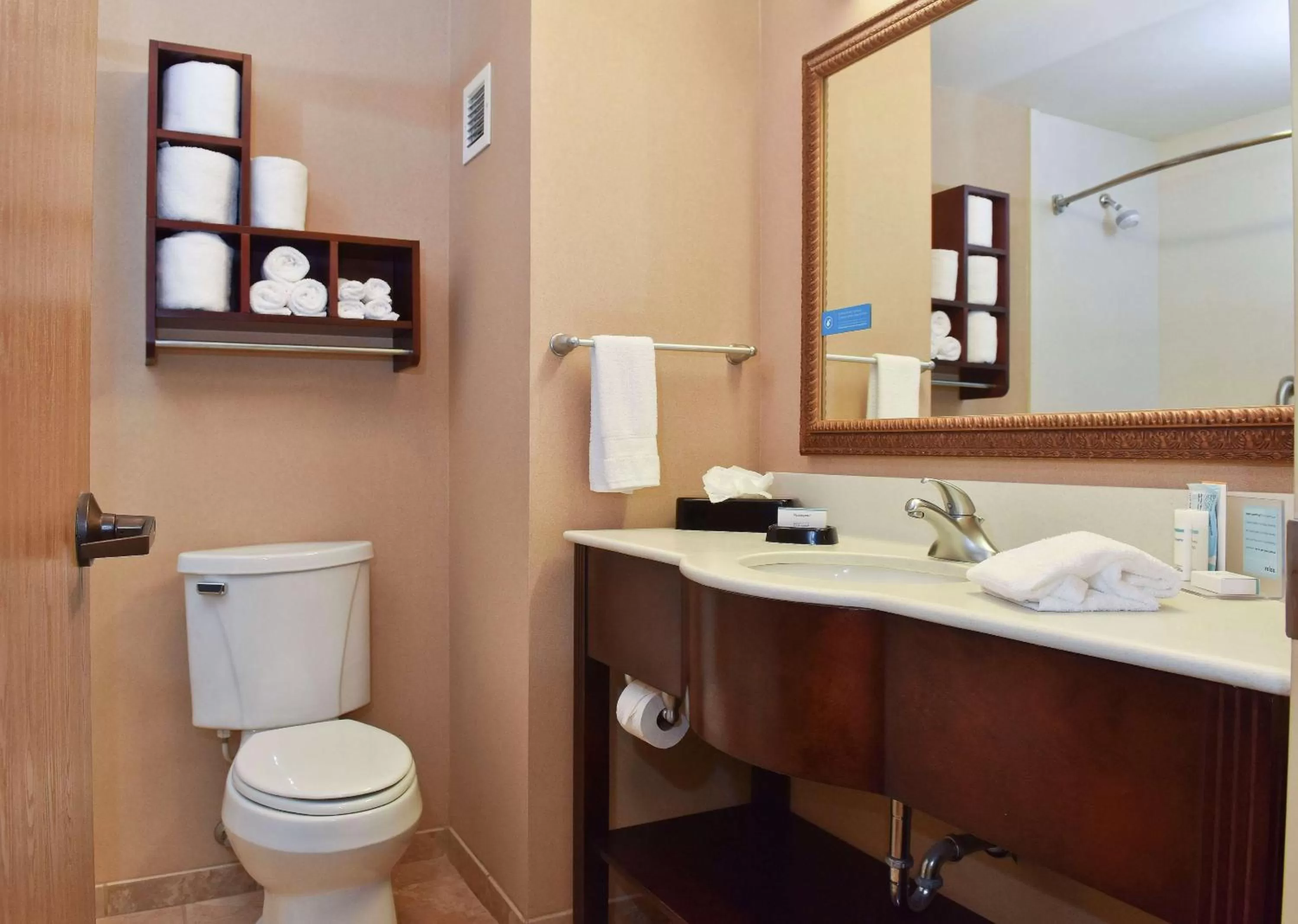 Bathroom in Hampton Inn Ruston
