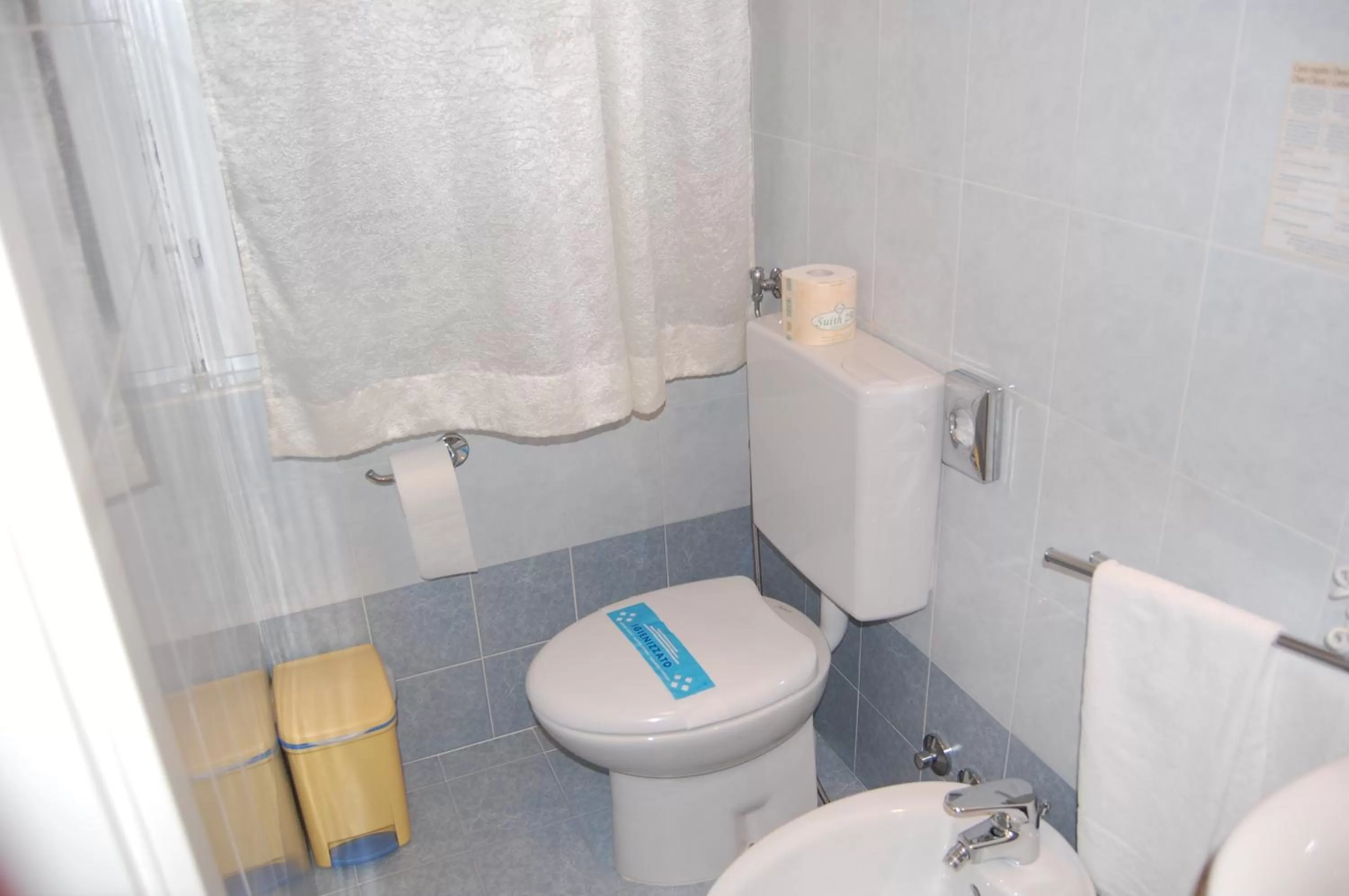 Toilet in Hotel Irene