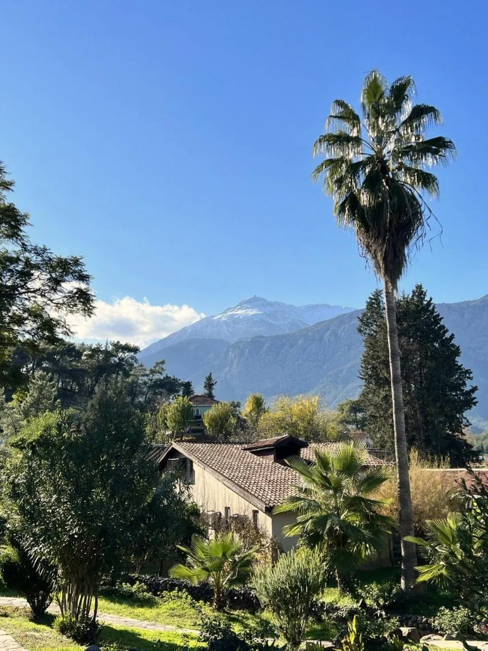 Mountain view in Hotel Berke Ranch&Nature
