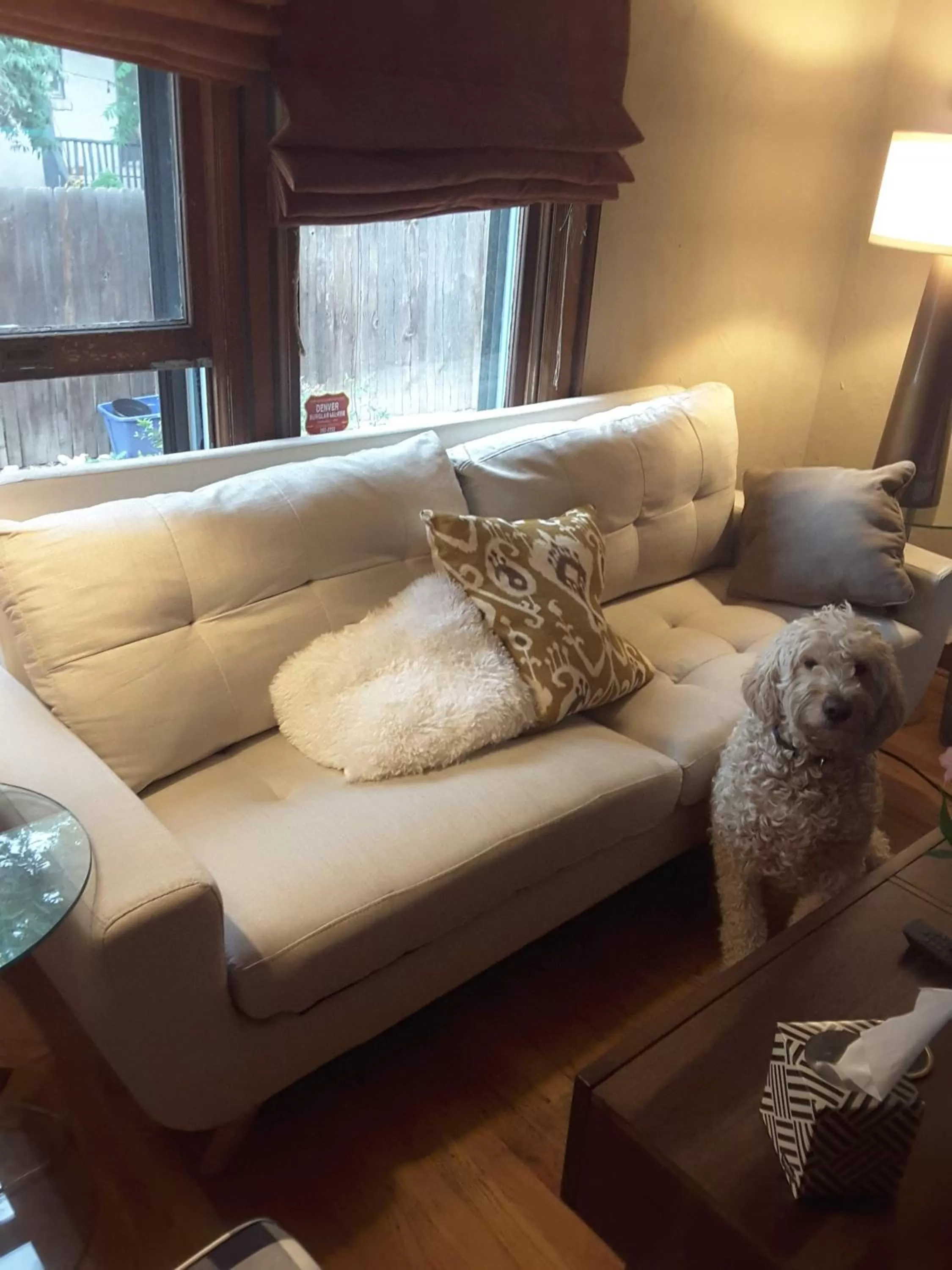 Communal lounge/ TV room, Bed in Off Broadway B & B