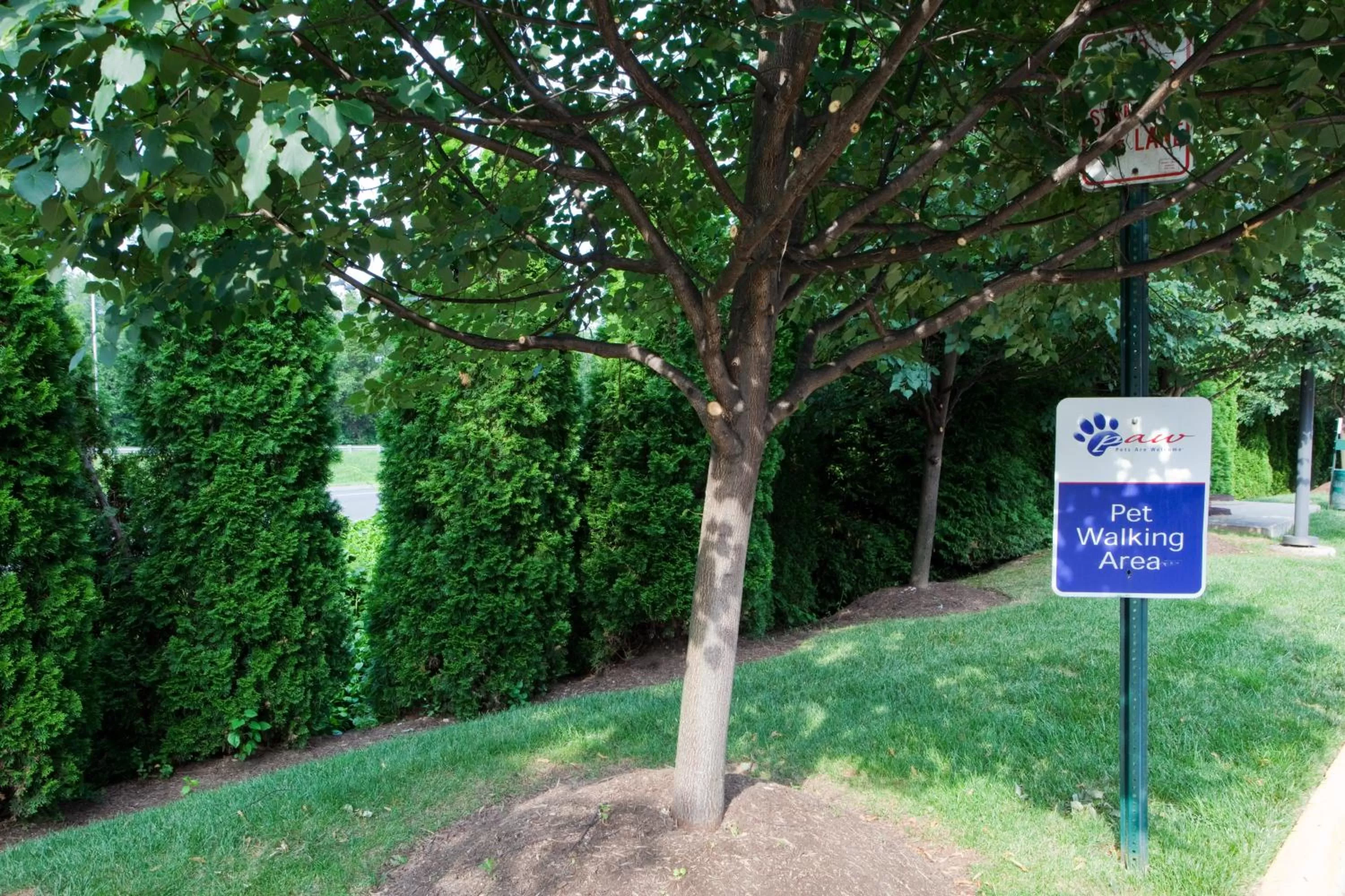 Lobby or reception in Candlewood Suites Washington-Fairfax by IHG