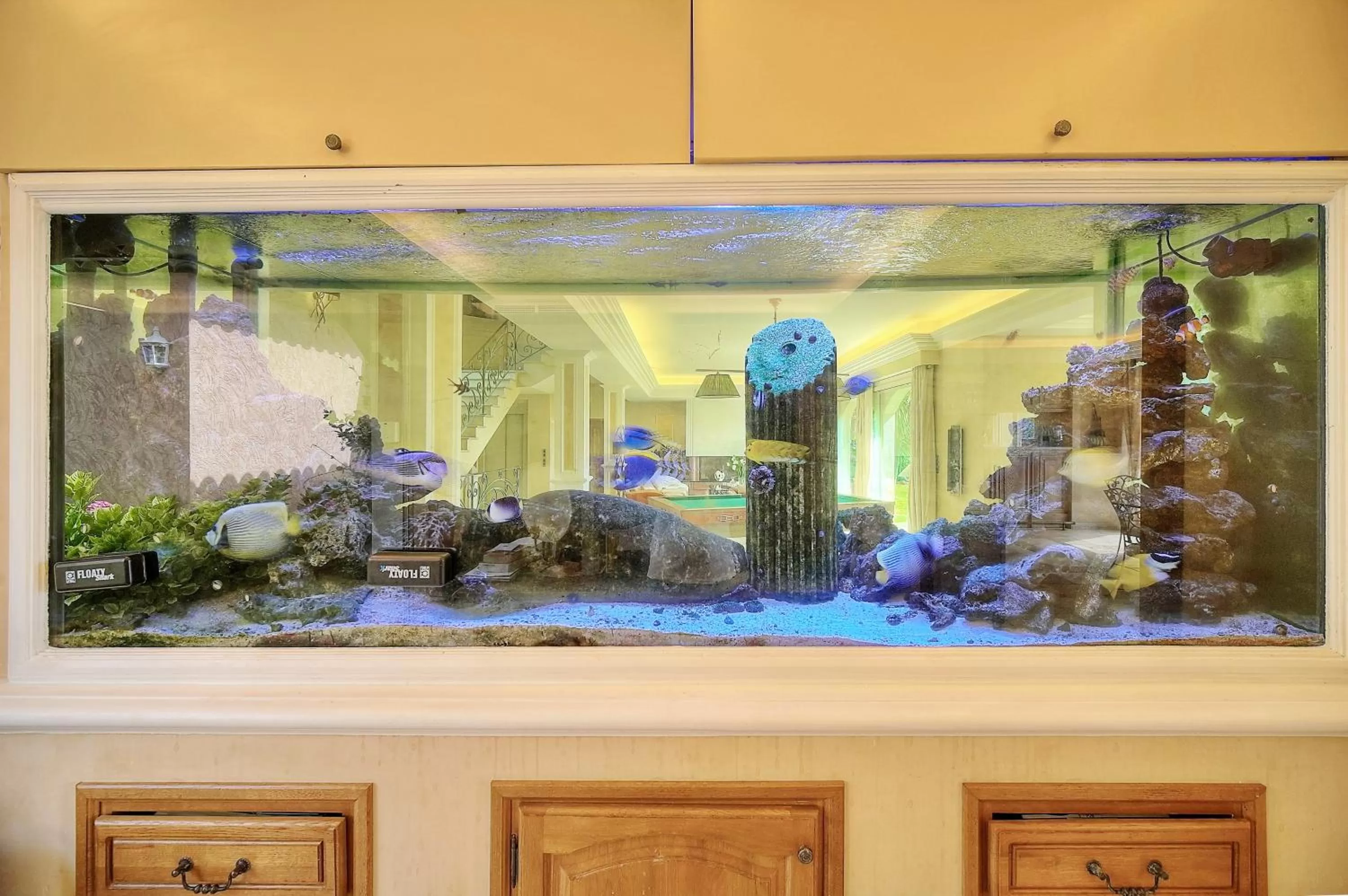 Chambre d'hôte "HAVRE DE PAIX" Prestige jacuzzi, hammam, sauna, PISCINE Mougins Cannes Grasse