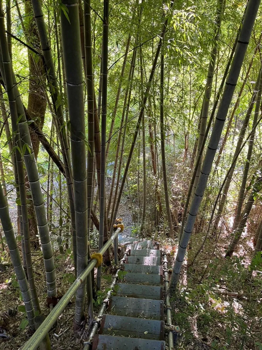 Day in Fuji-Hakone Guest House