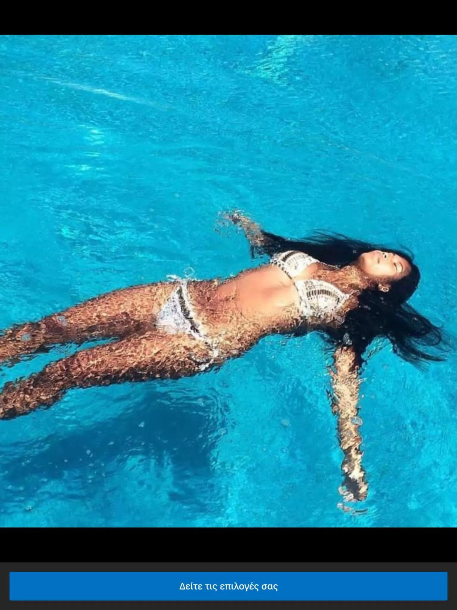 Other Animals in A&G Suites