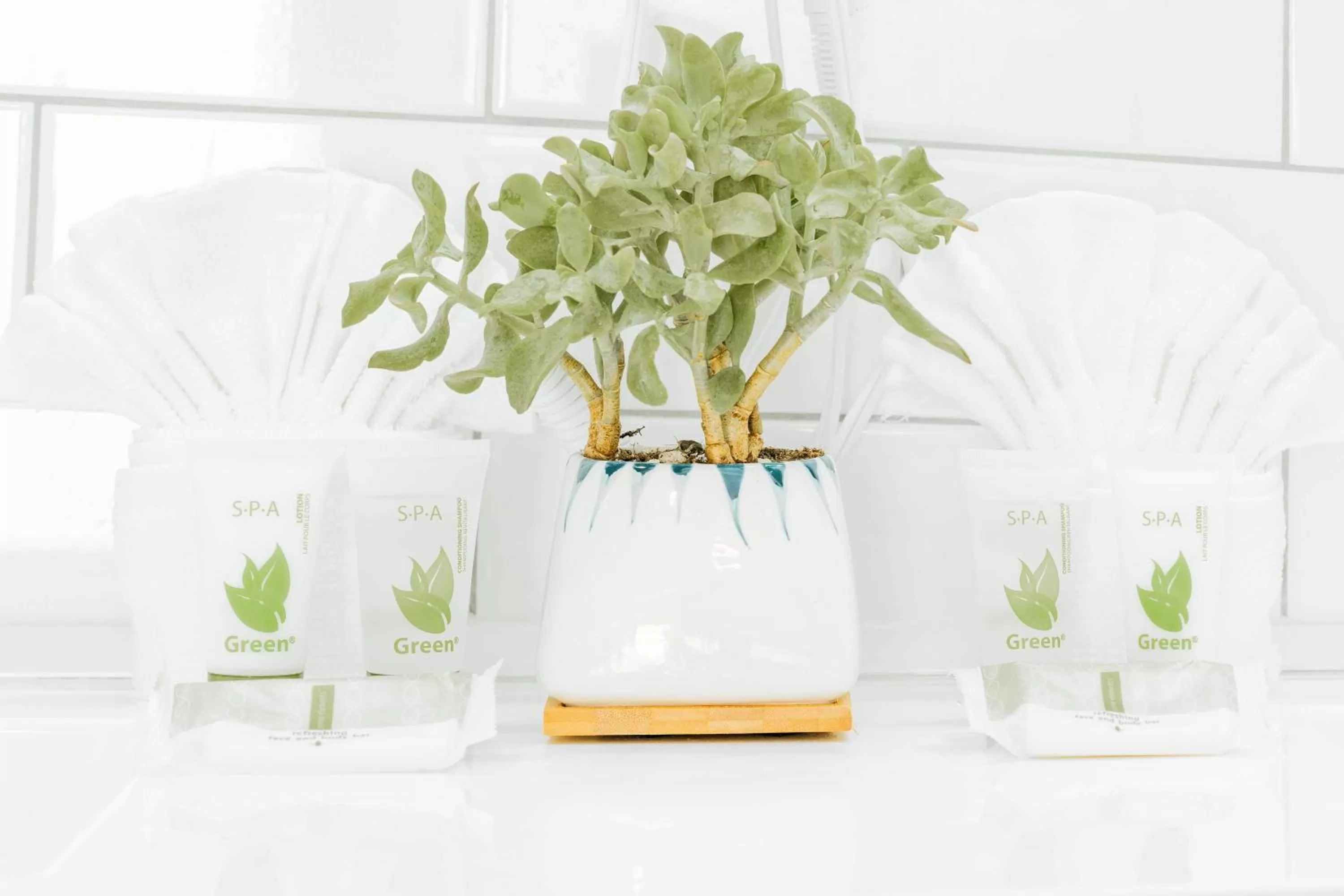 The Belmont Shore Inn