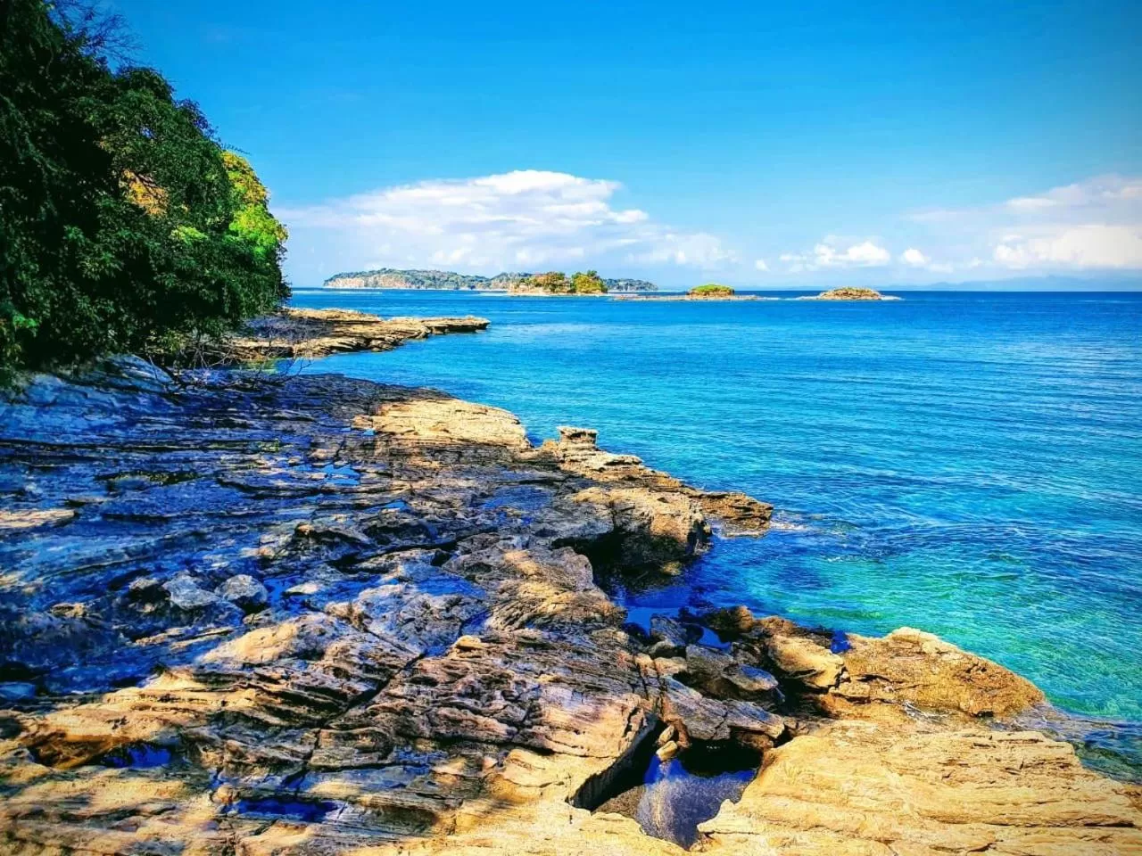 Natural landscape in Saboga Lodge