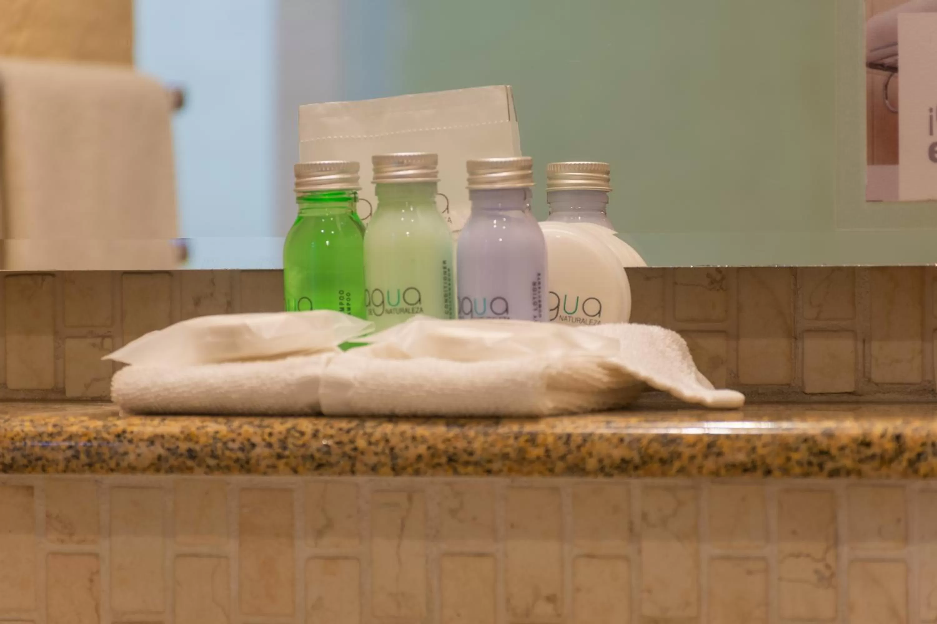 Bathroom in Hotel Flamingo Inn