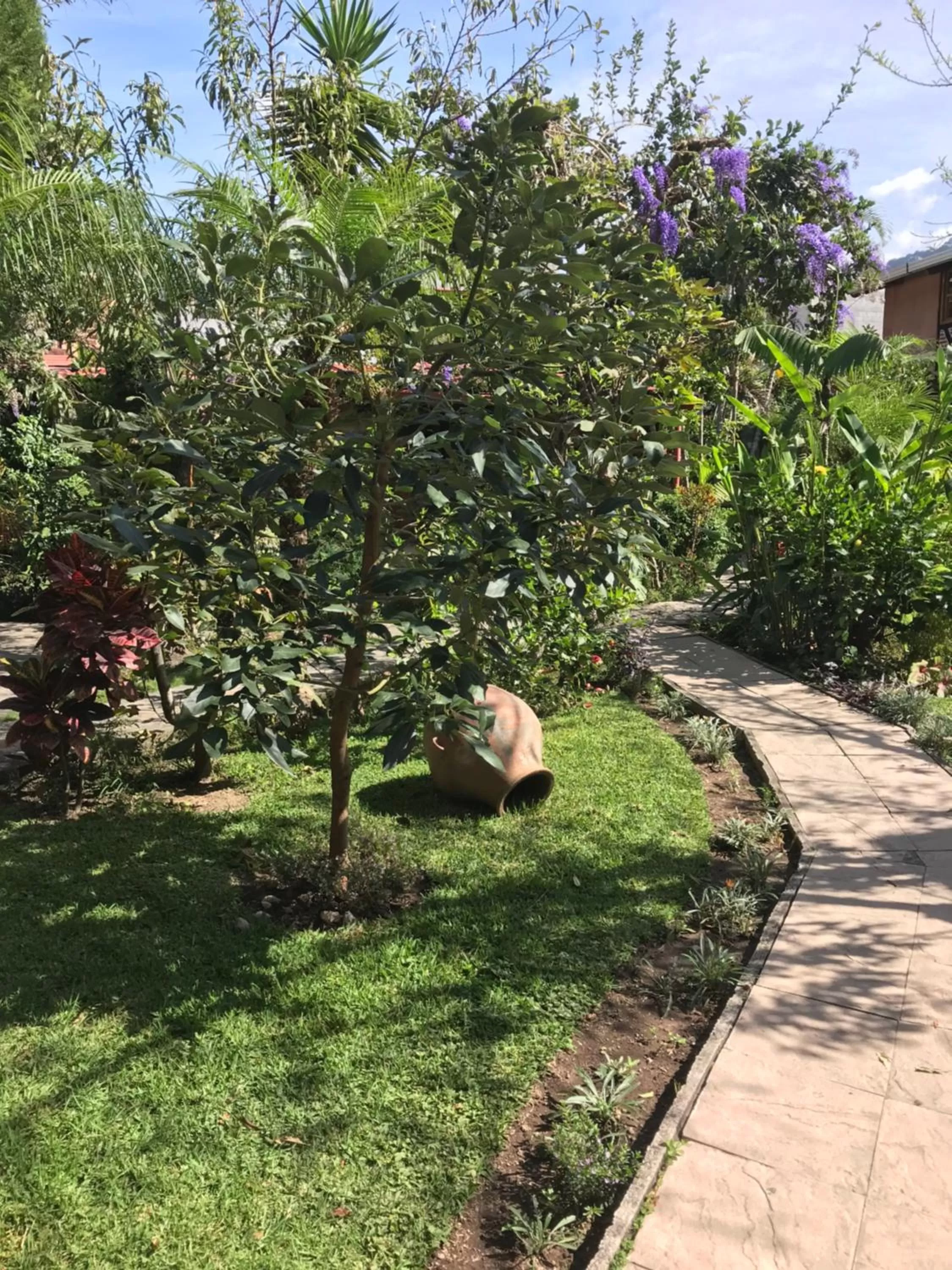 Garden in Hotel Utz Jay