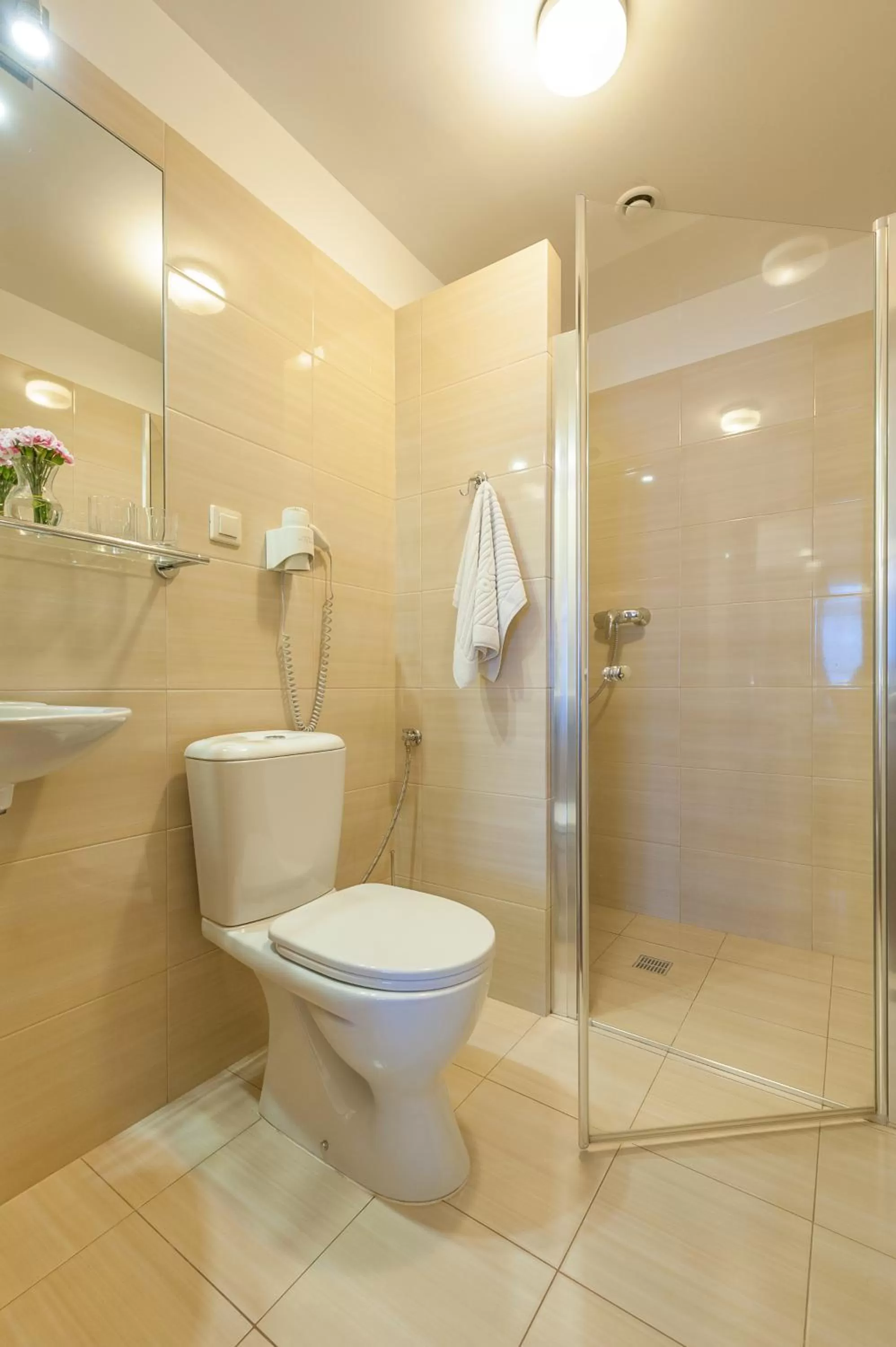 Shower in Hotel Alexander