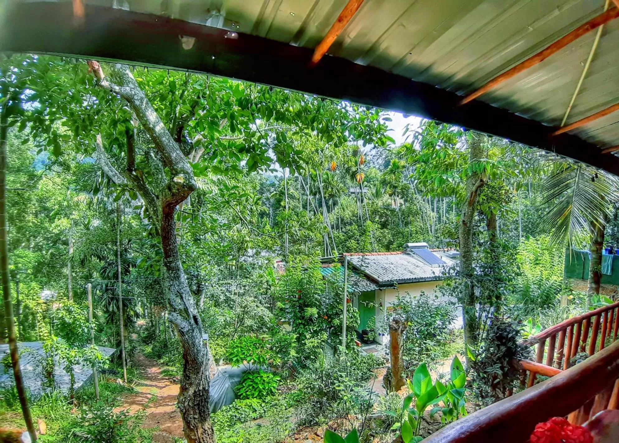 Garden view in Cozy Homestay Waterfall Road Ella