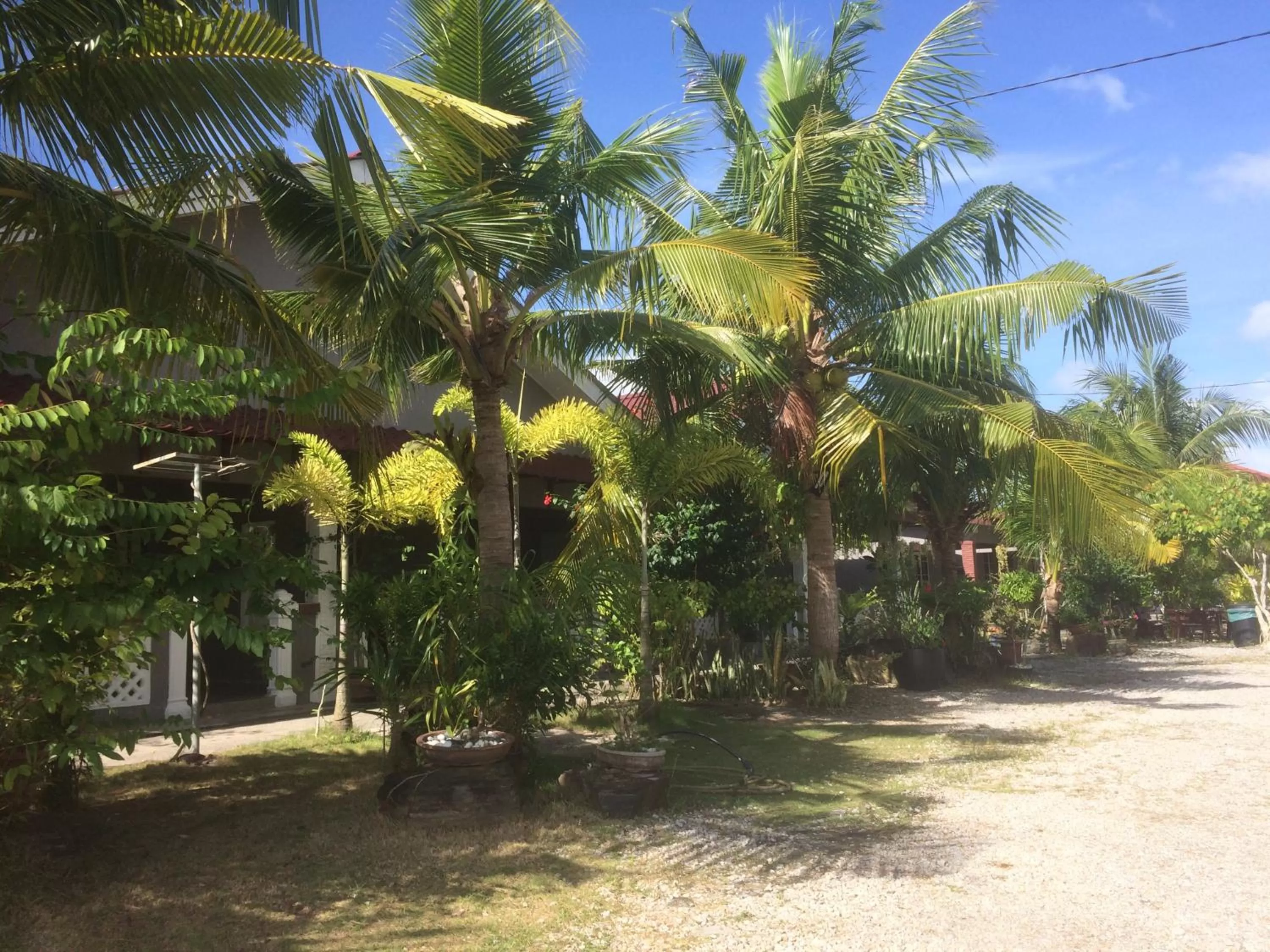 Property building in Cenang Room Rahsia Motel