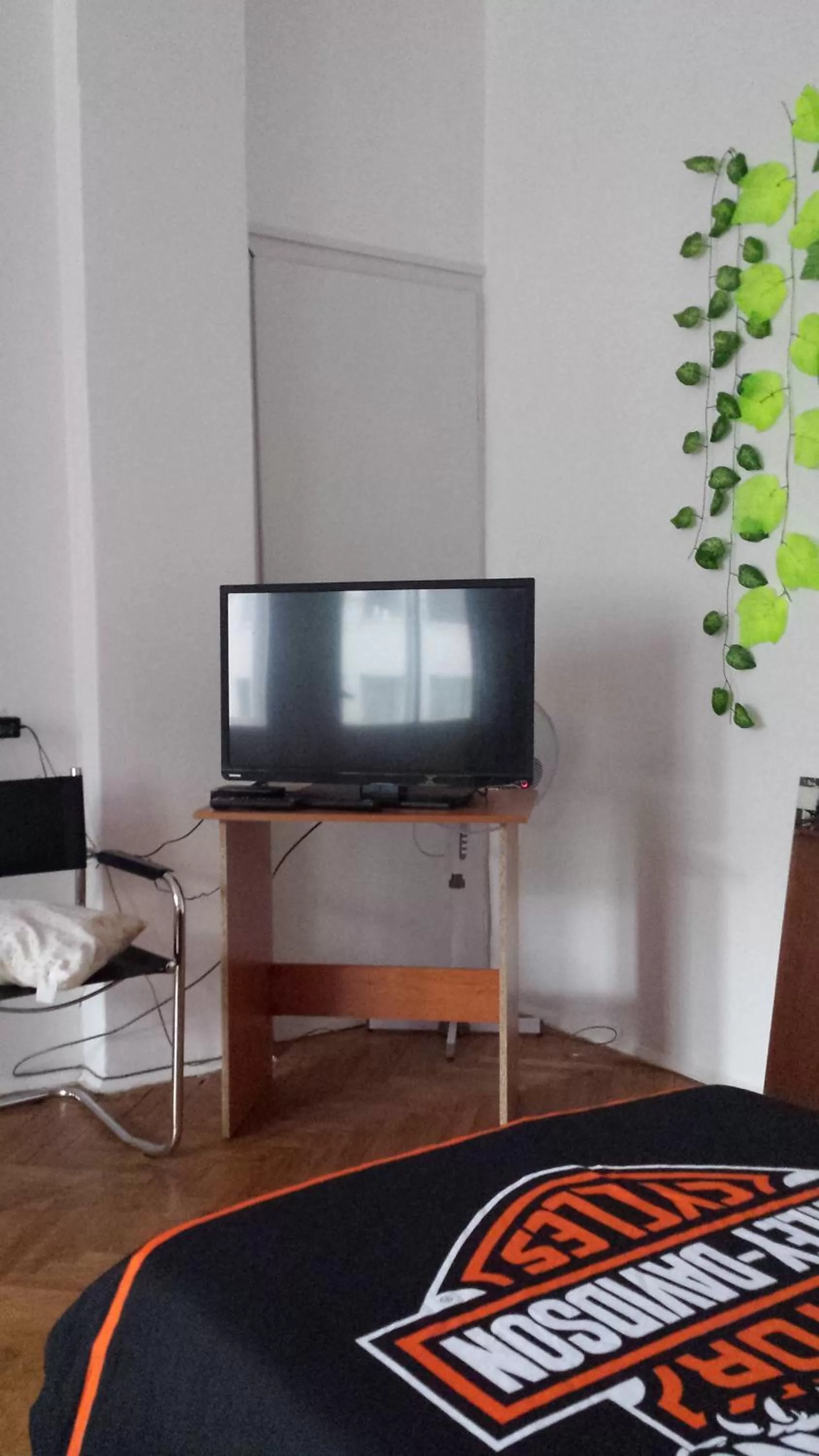 Other in Belle Stelle Sofia