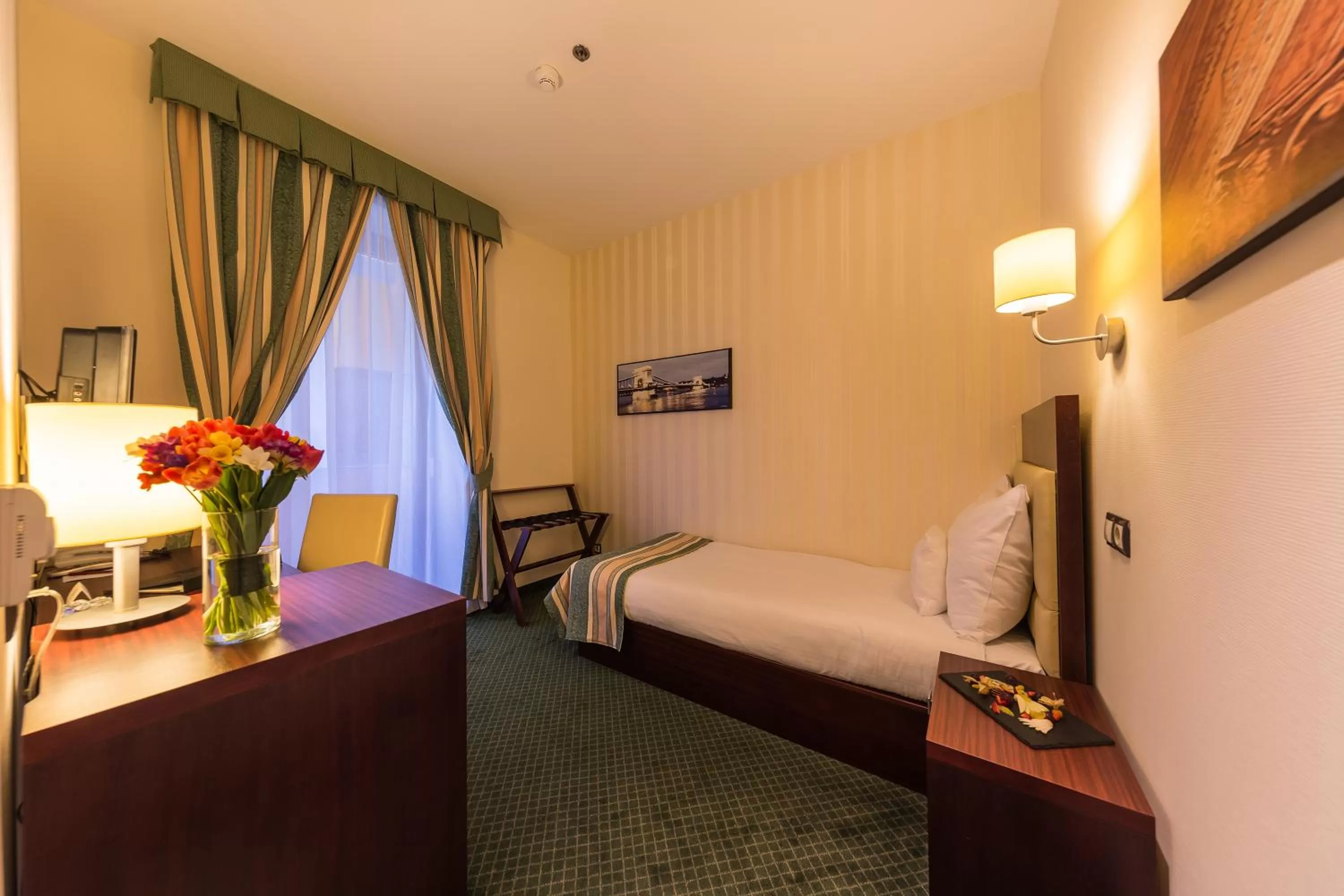 Standard Single Room in Hotel President