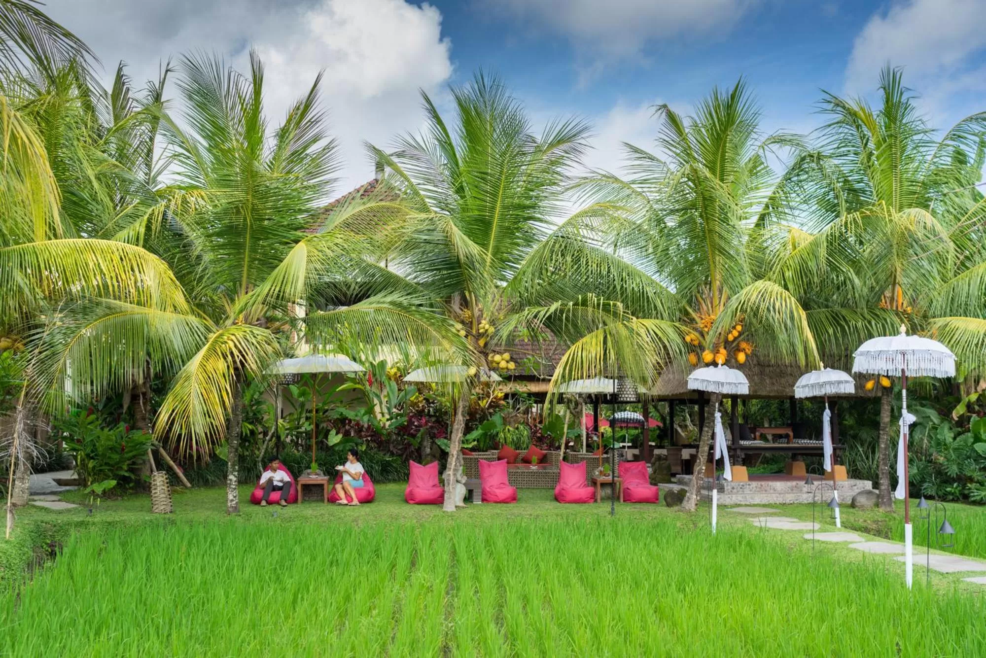 Natural landscape, Garden in Bebek Tepi Sawah Restaurant & Villas