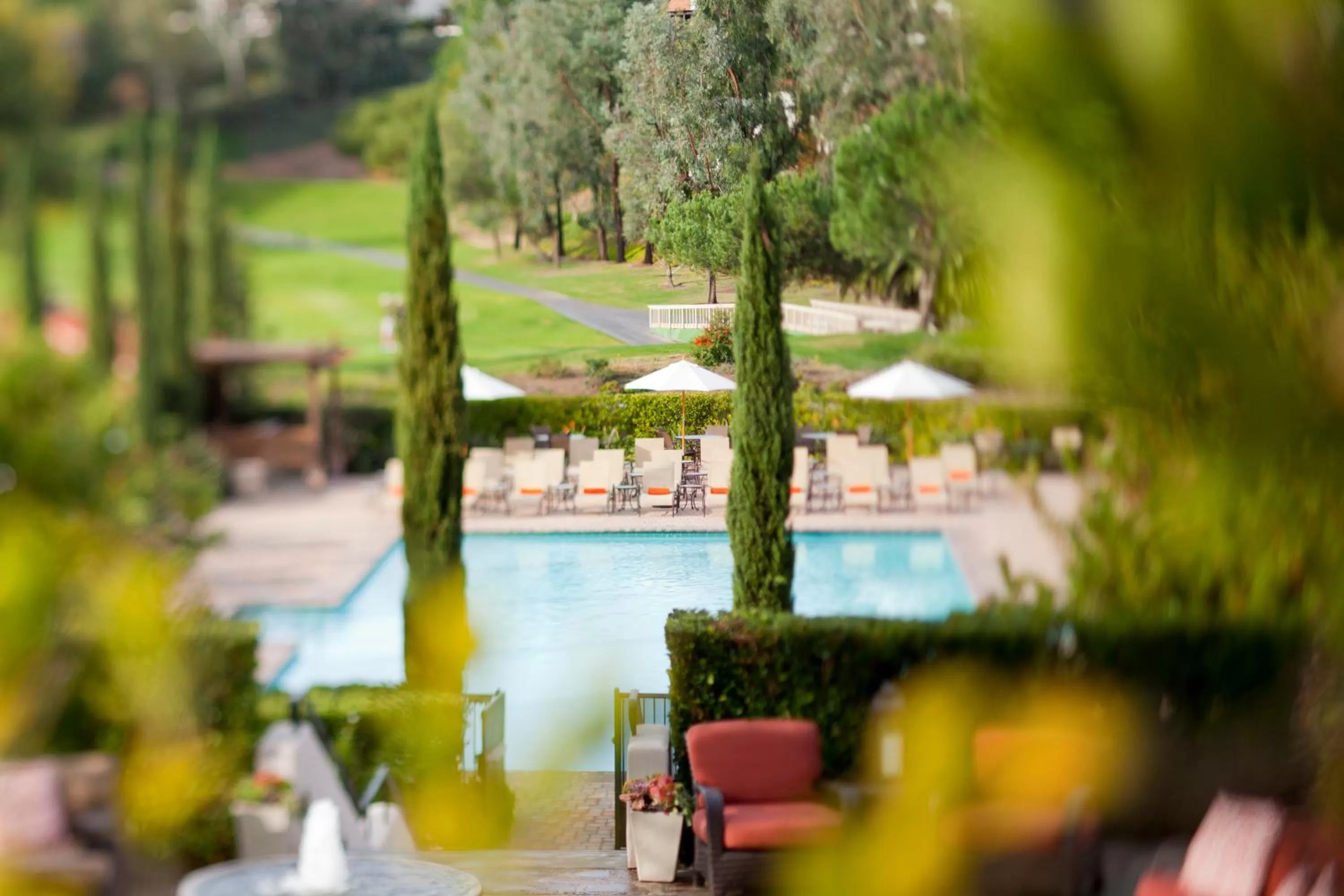 Swimming pool in Rancho Bernardo Inn