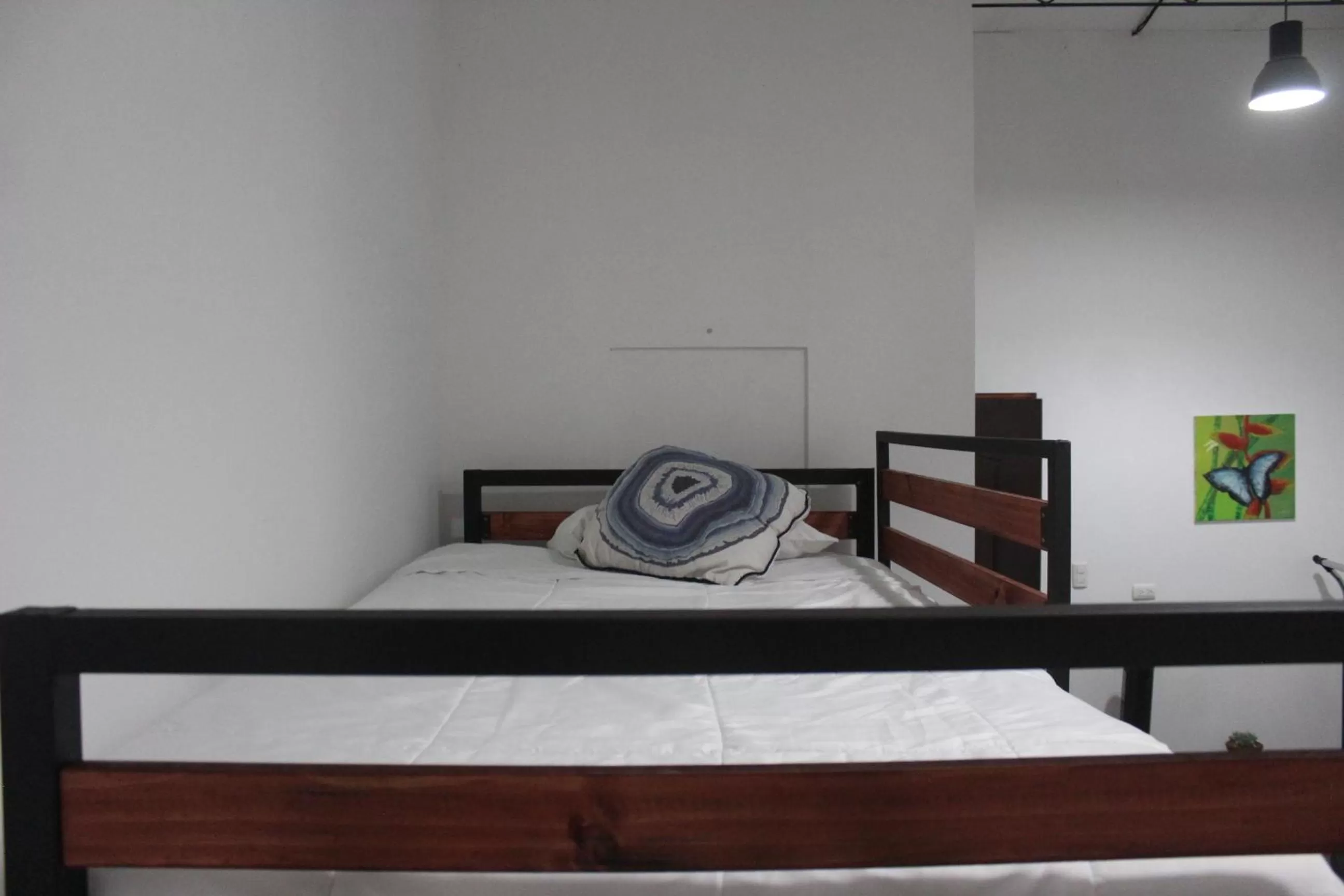 Bunk Bed in Cando Living Apartments in Central Avenue