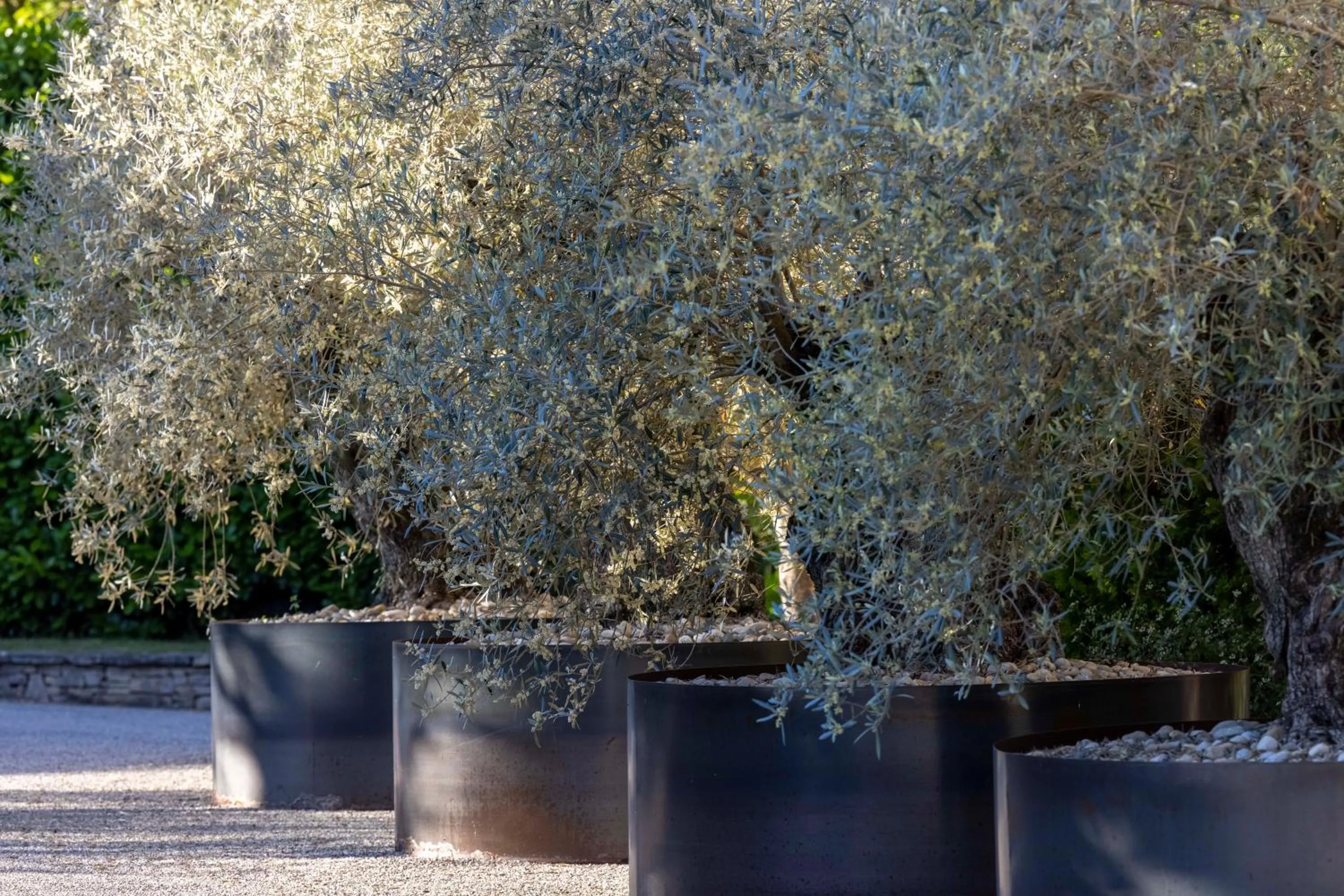 View (from property/room) in Le Mas du Terme