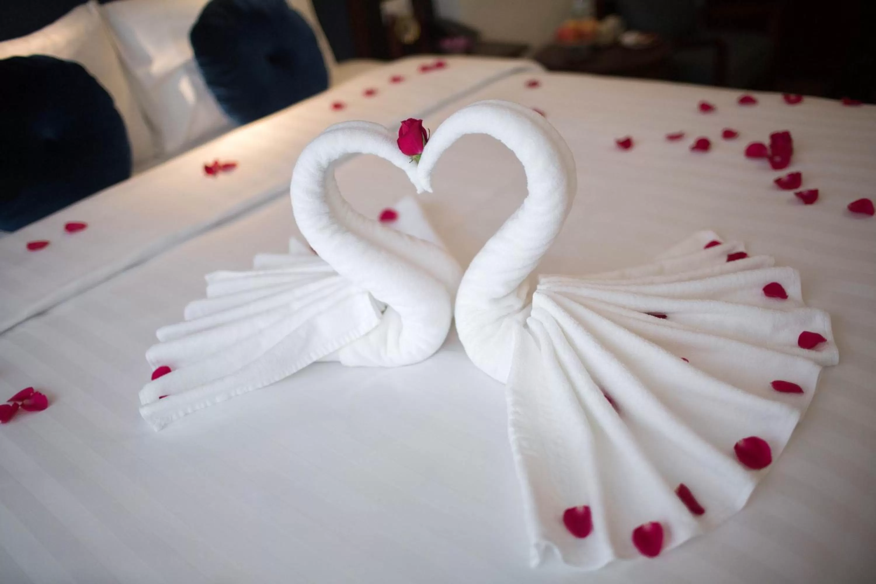 Other, Bed in Holiday Emerald Hotel