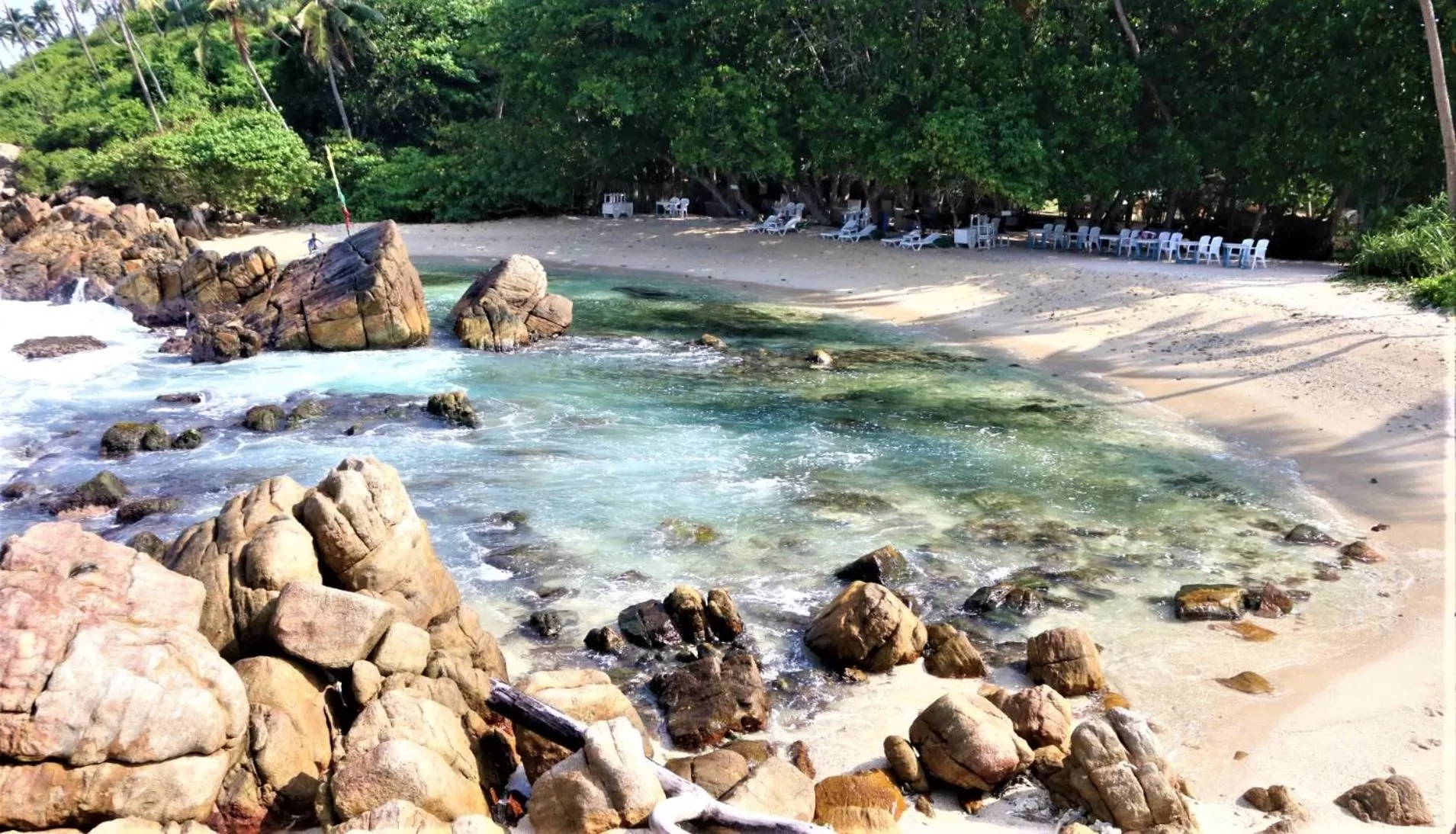 Natural Landscape in The Spice House Mirissa
