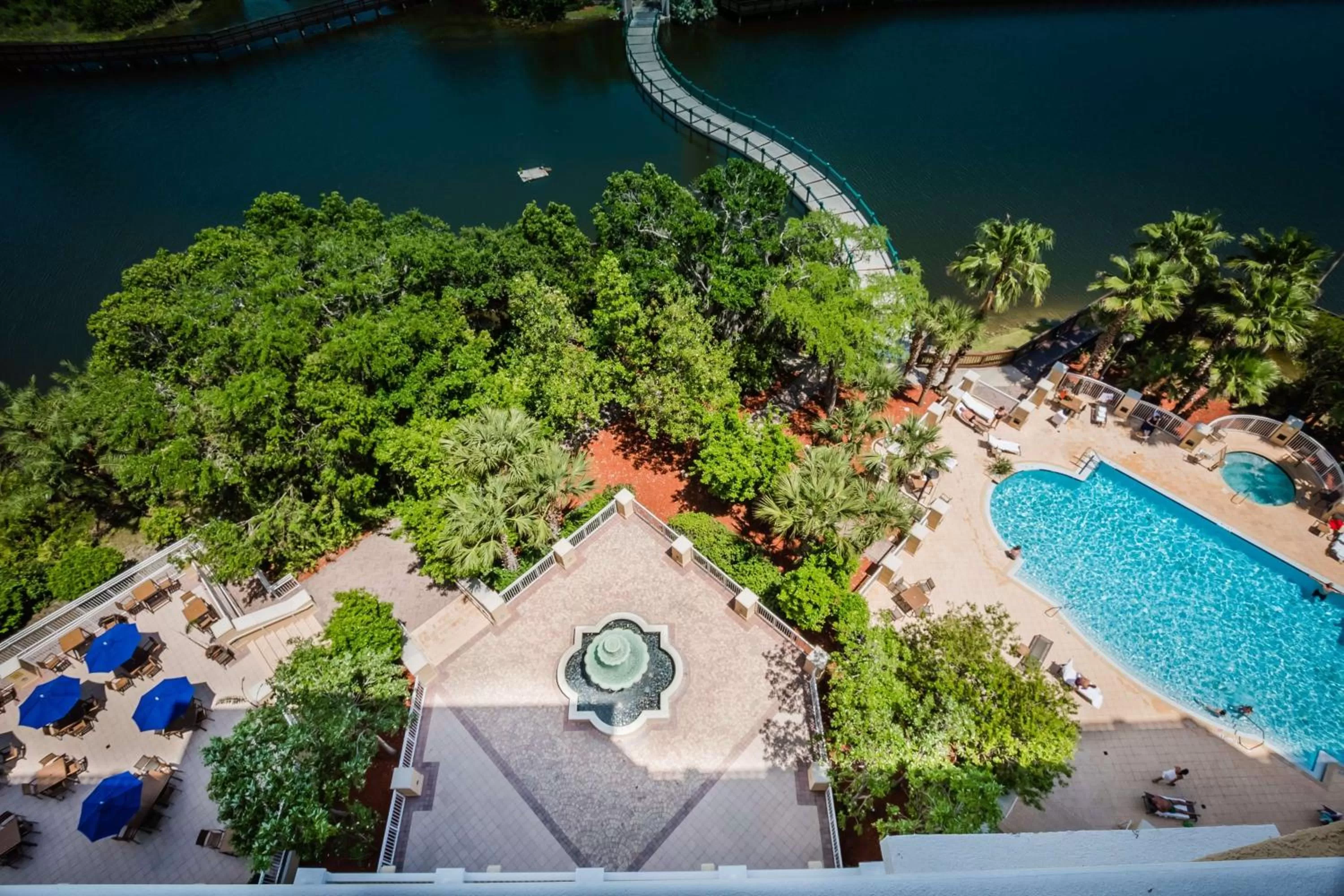 Pool view in Hilton St. Petersburg Carillon Park