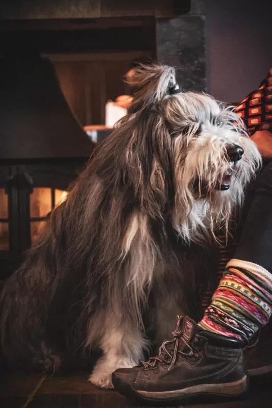 The Angus Hotel & Spa by Compass Hospitality