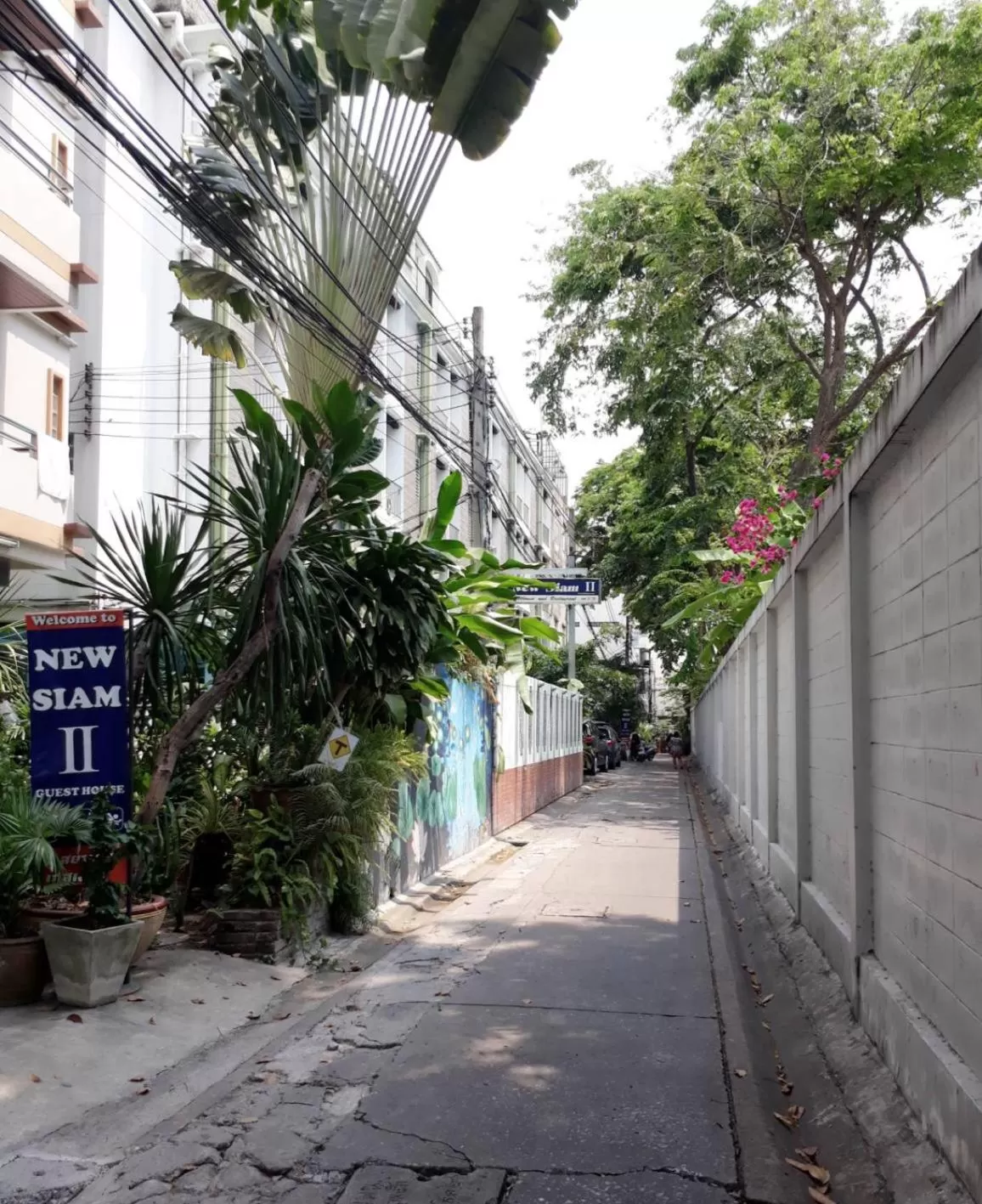 Property building in New Siam II