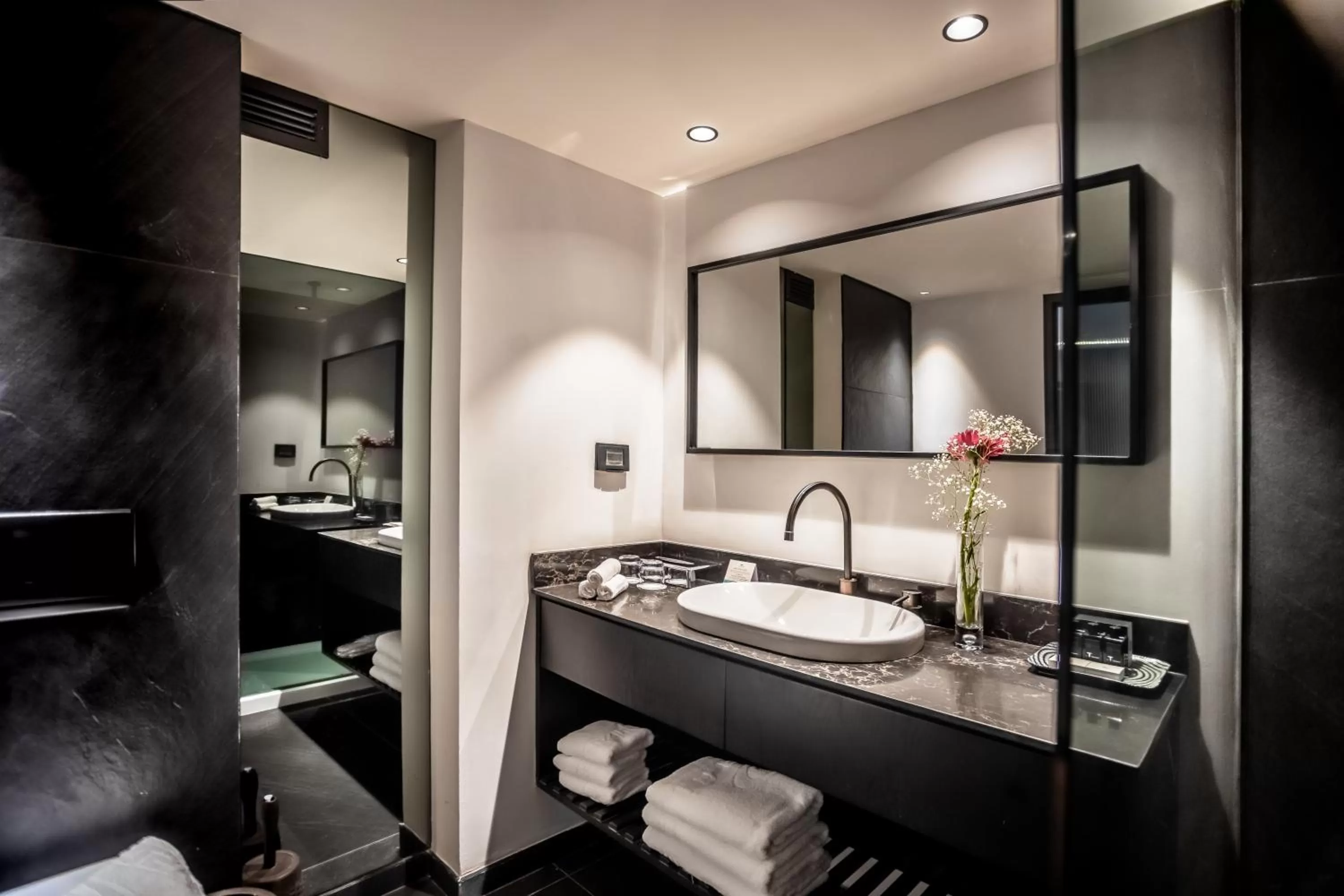 Shower in Daniel Herzliya Hotel