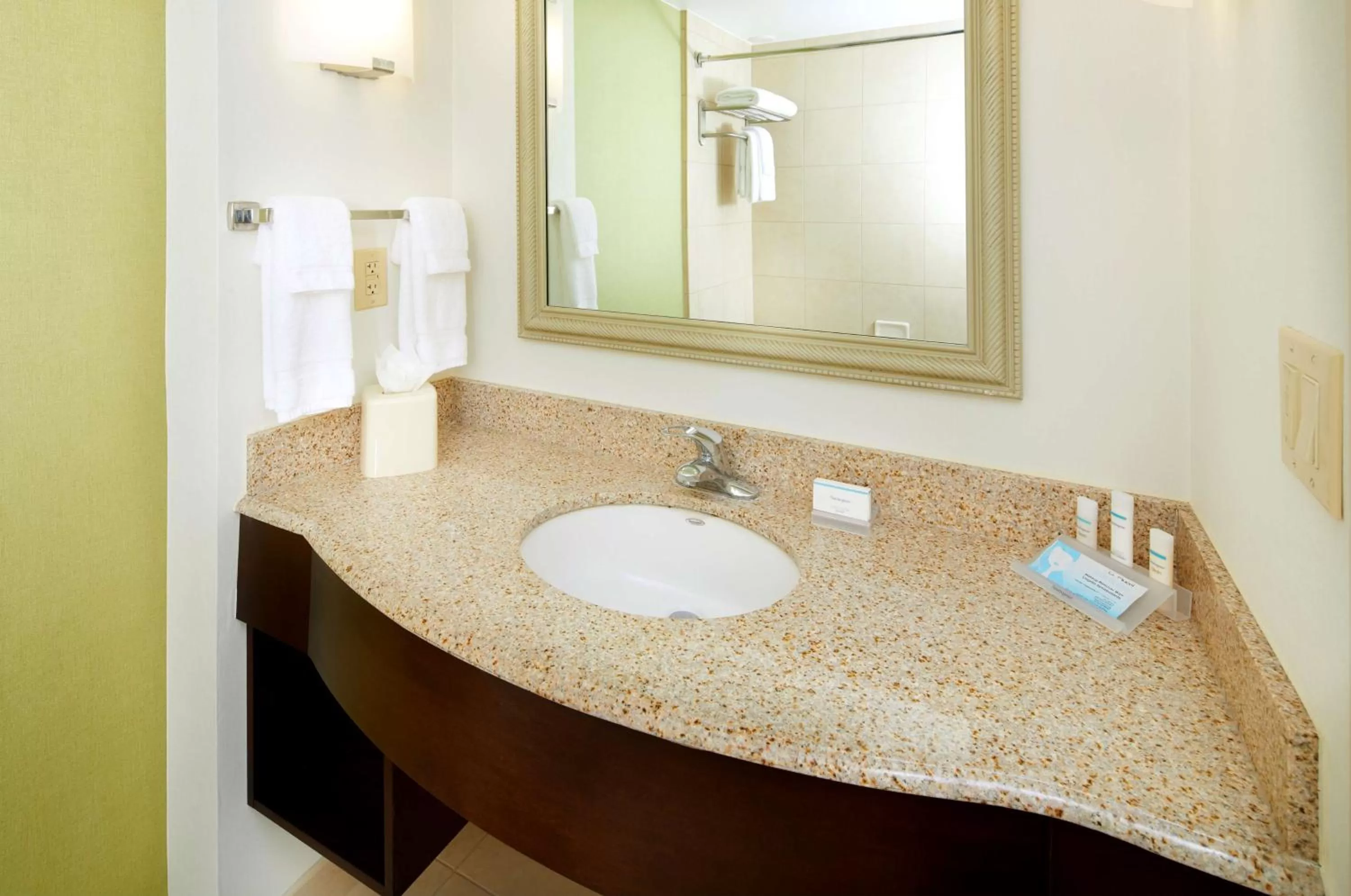 Bathroom in Hilton Garden Inn Savannah Midtown