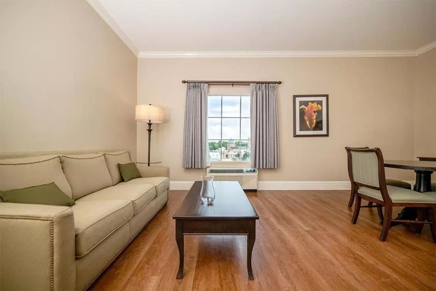 Living room in Chateau Saint Denis Hotel