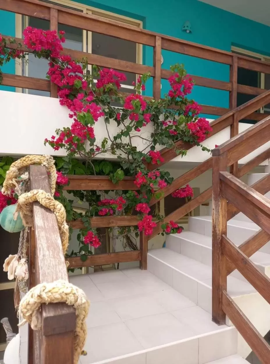 Garden in B&B Sereia Azul Boa Vista