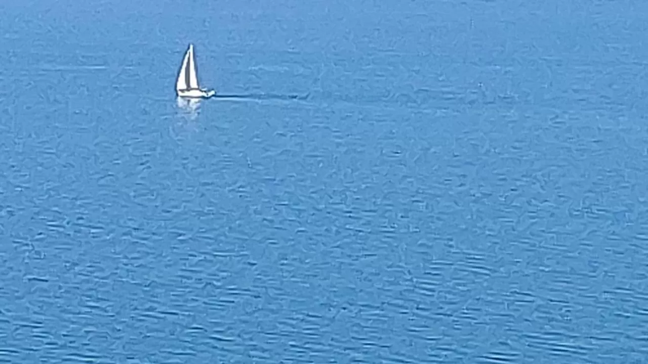 Sea view in PURE WELLNESS SEA-VIEW Beluga & Dolphin Luxury HOTEL apartments