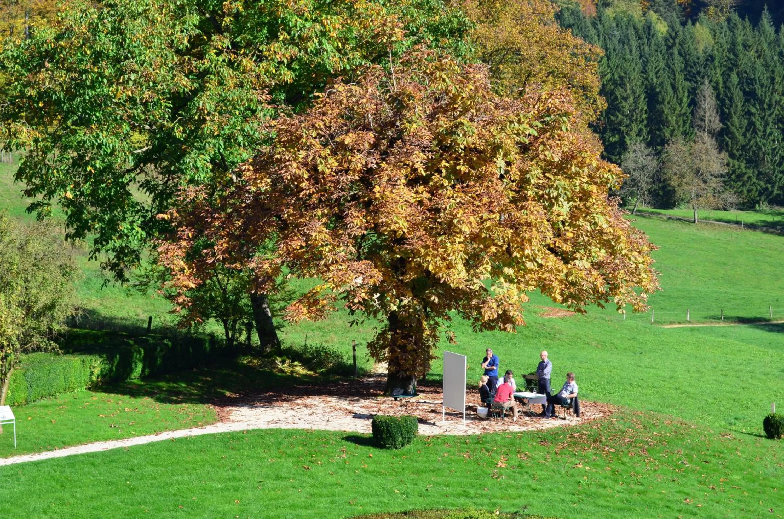 Day in Bad Schauenburg