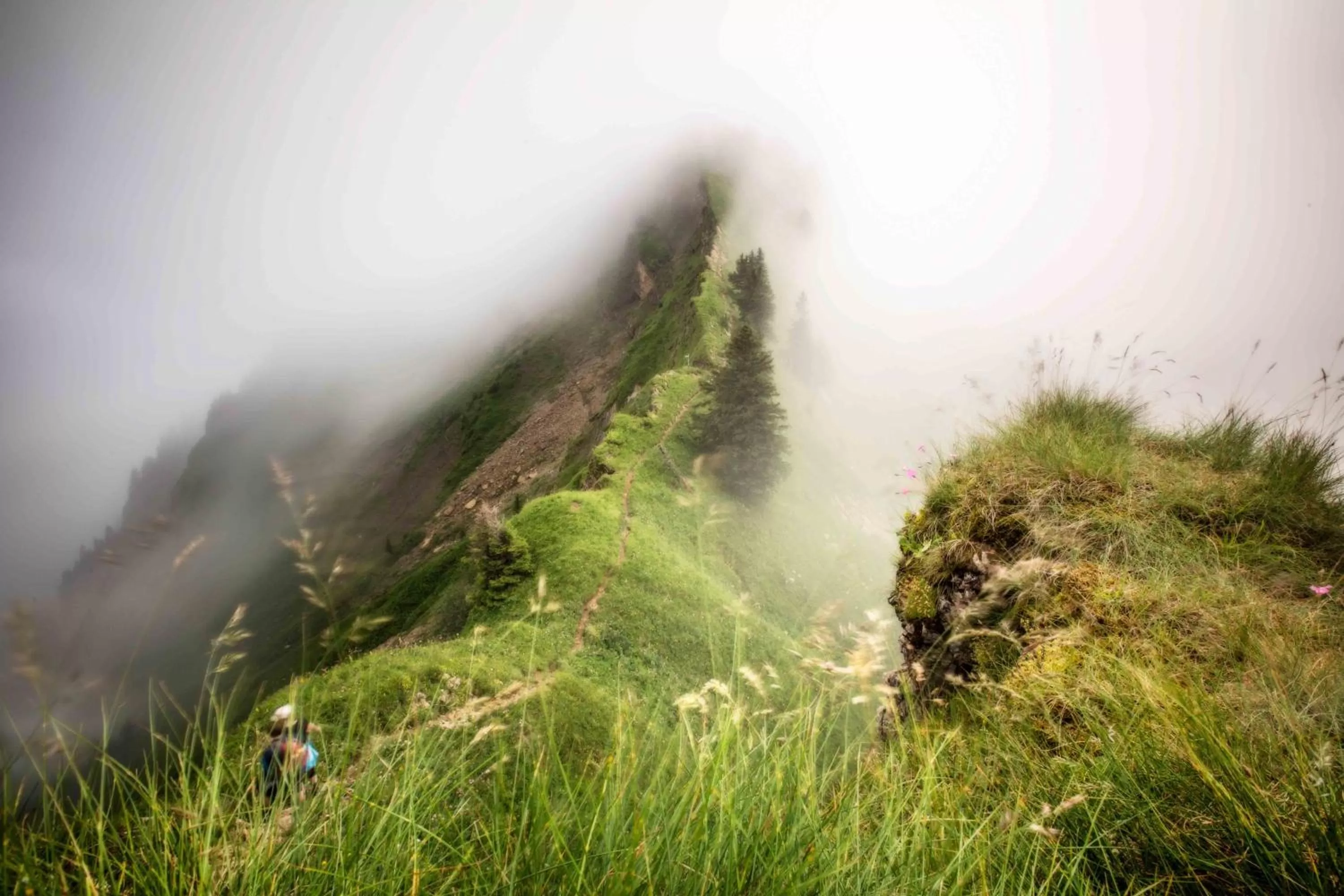 Natural landscape in Hotel St Hubertus