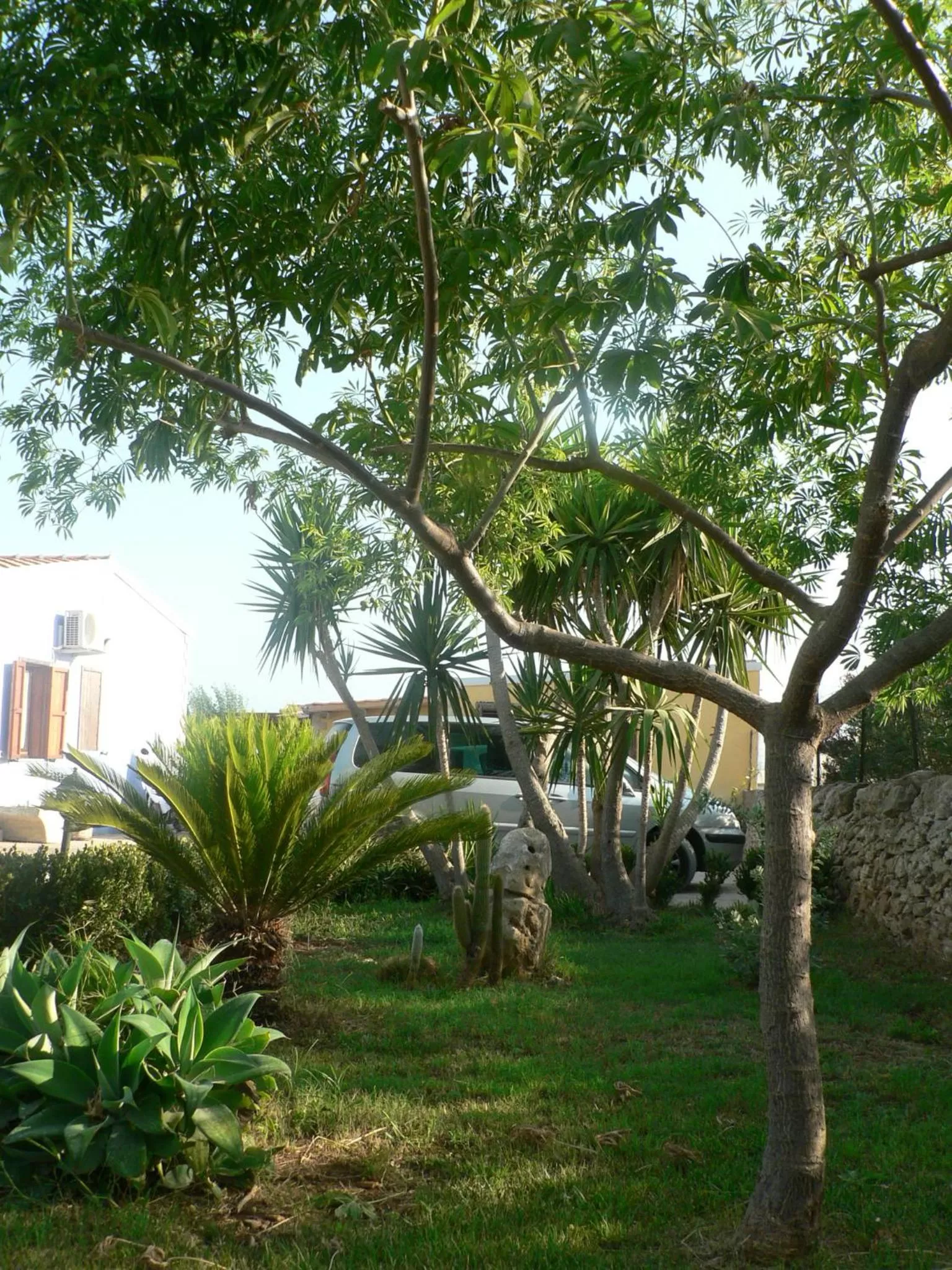 Garden in B&B Villa Francesco