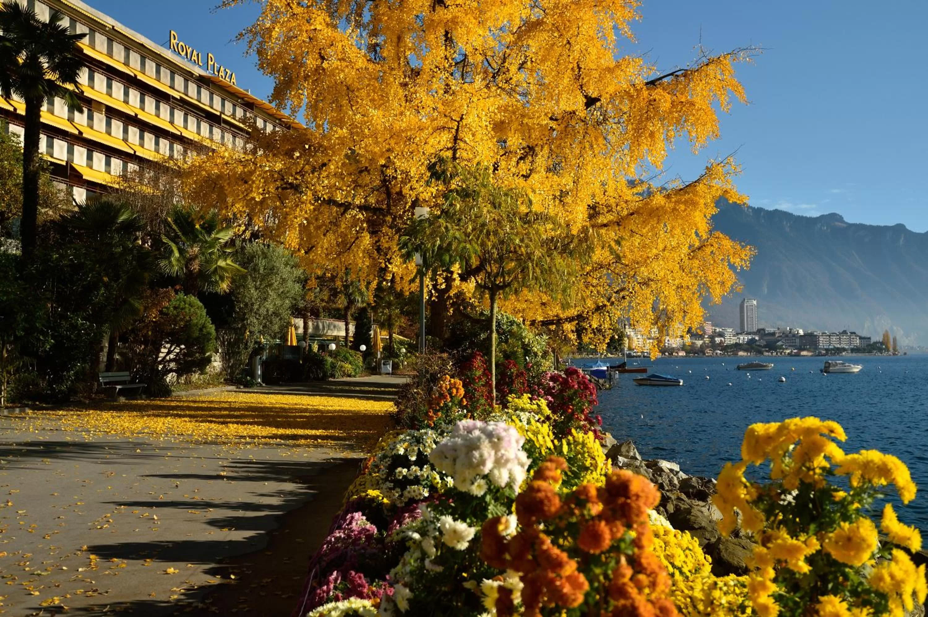 Garden in Royal Plaza Montreux