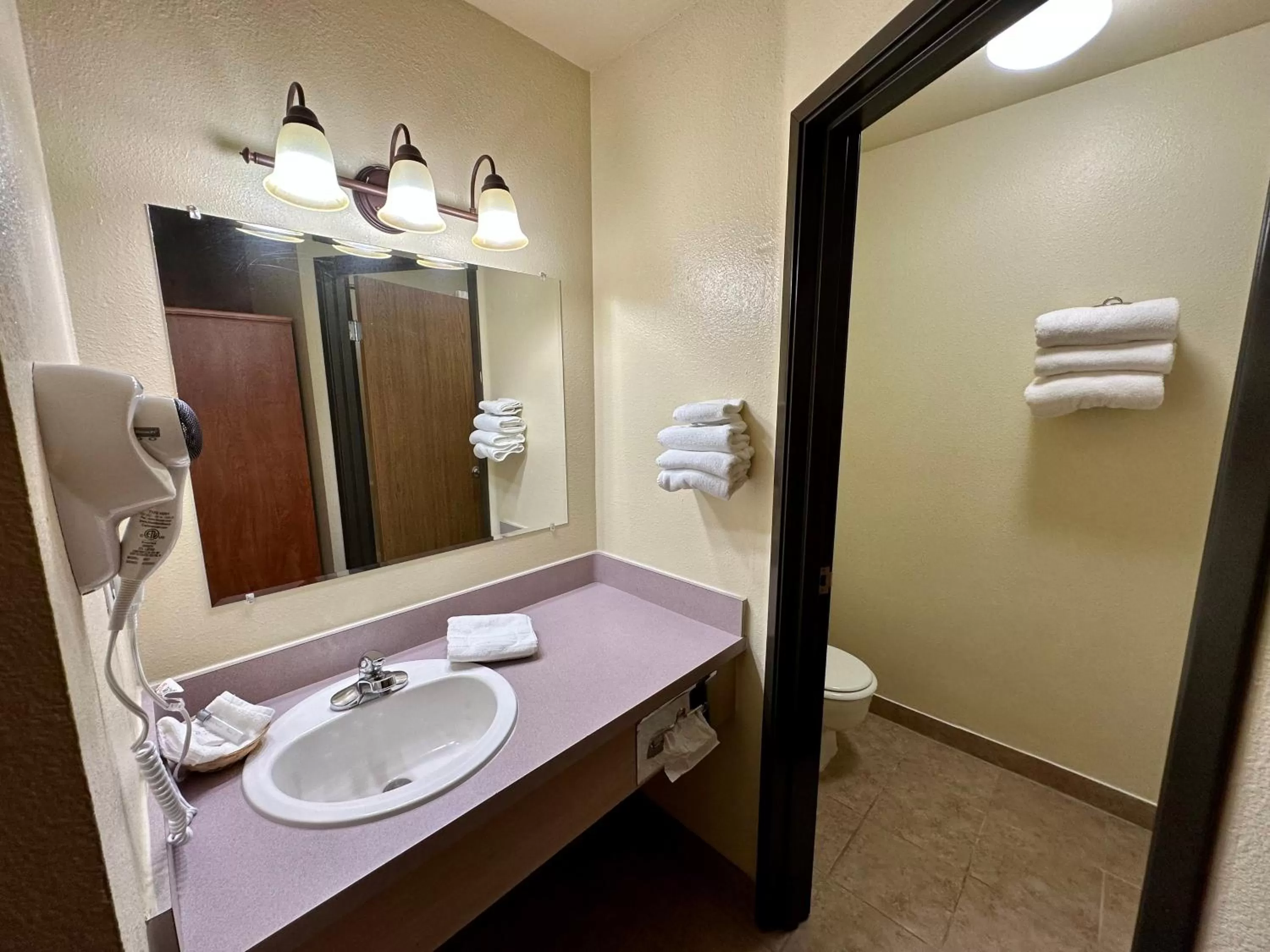 Bathroom in FairBridge Inn & Suites Kellogg