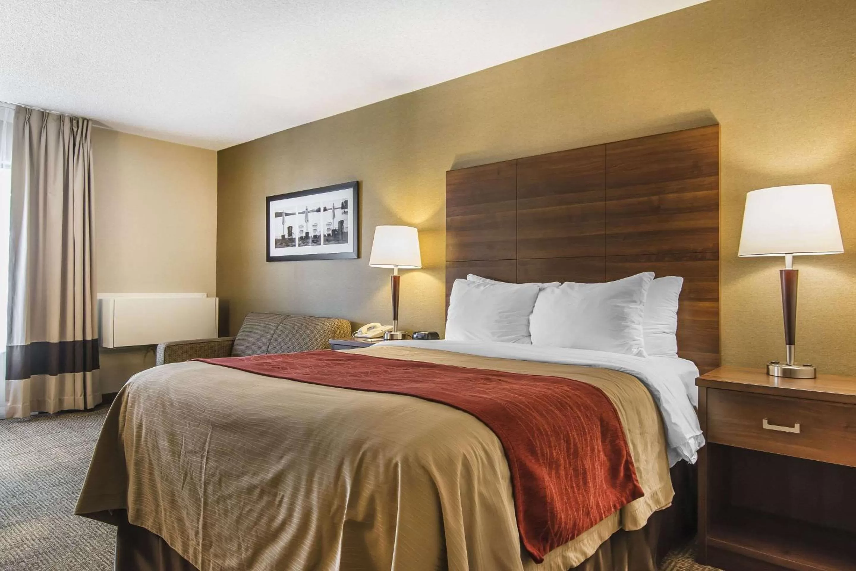 Photo of the whole room, Bed in Comfort Inn