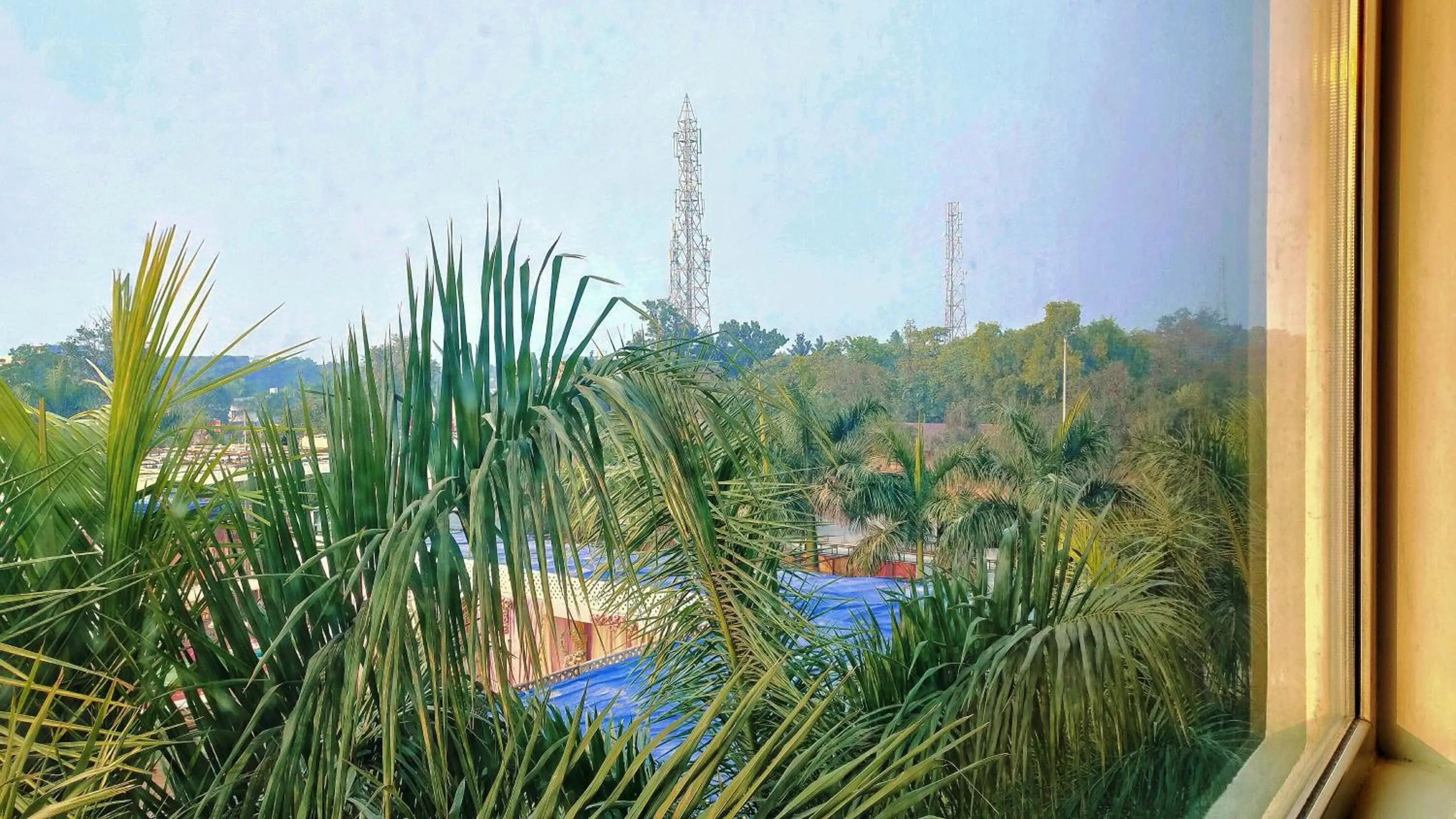 Garden view in Hotel Karan Vilas