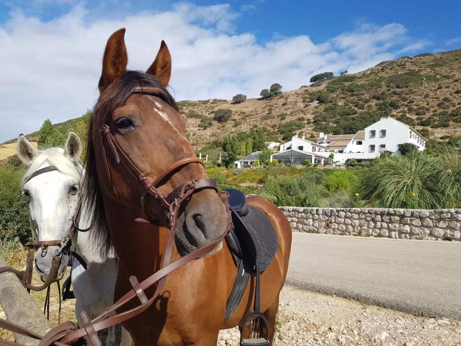 Horse-riding in Hotel Fuente del Sol