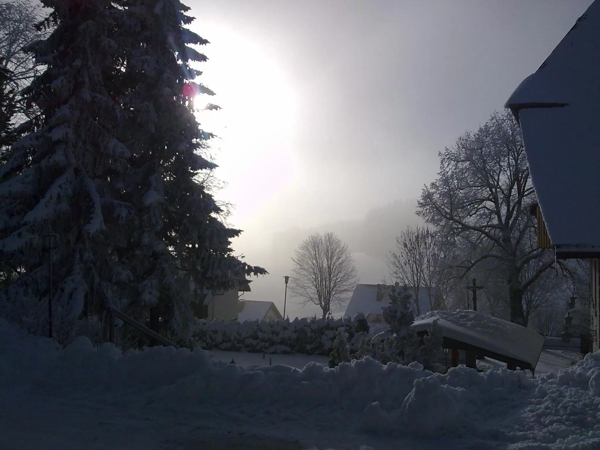 Natural landscape in ZUR TRAUBE Schwarzwaldhotel & Restaurant am Titisee