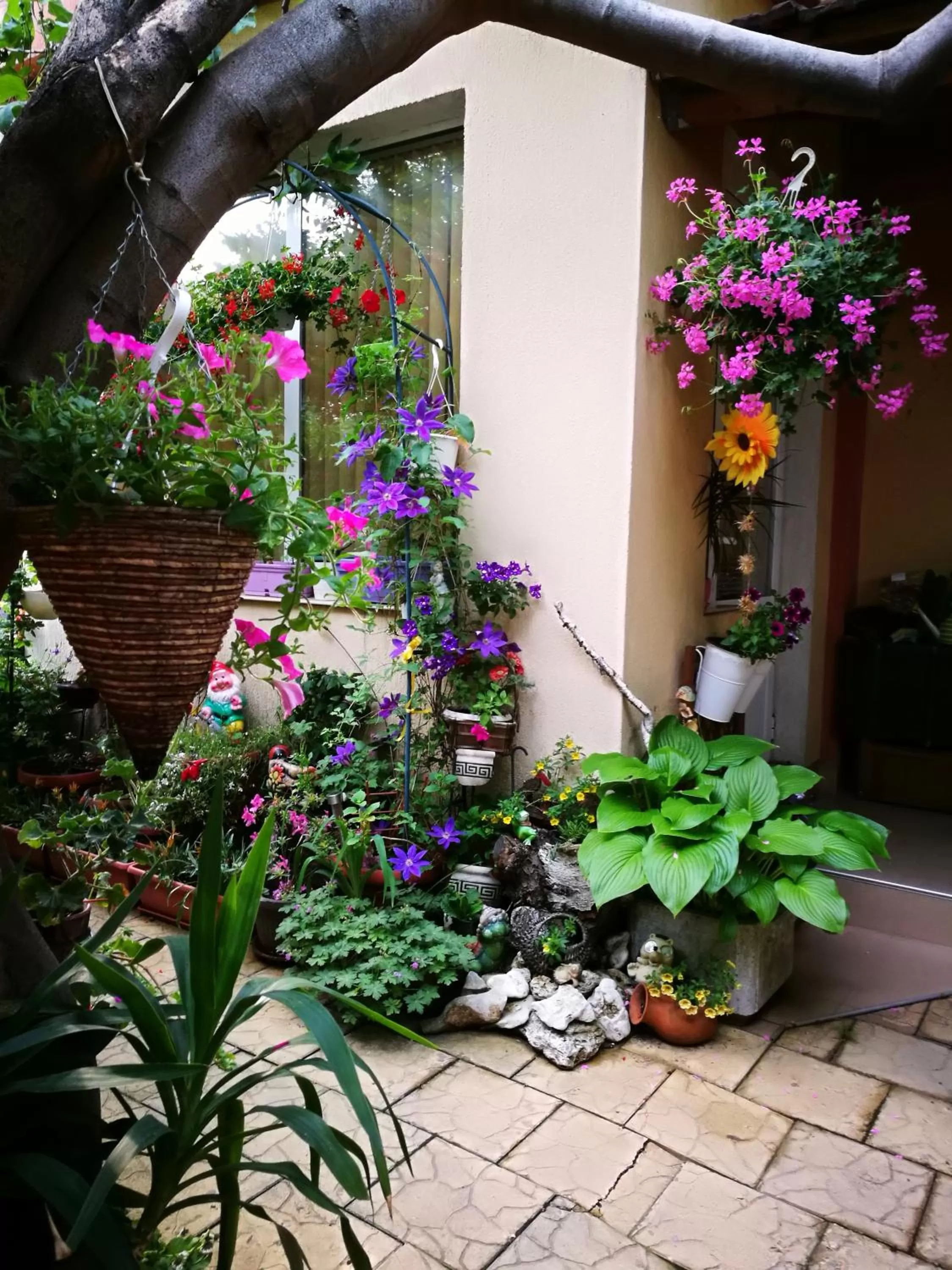 Property building in Hotel Paradise