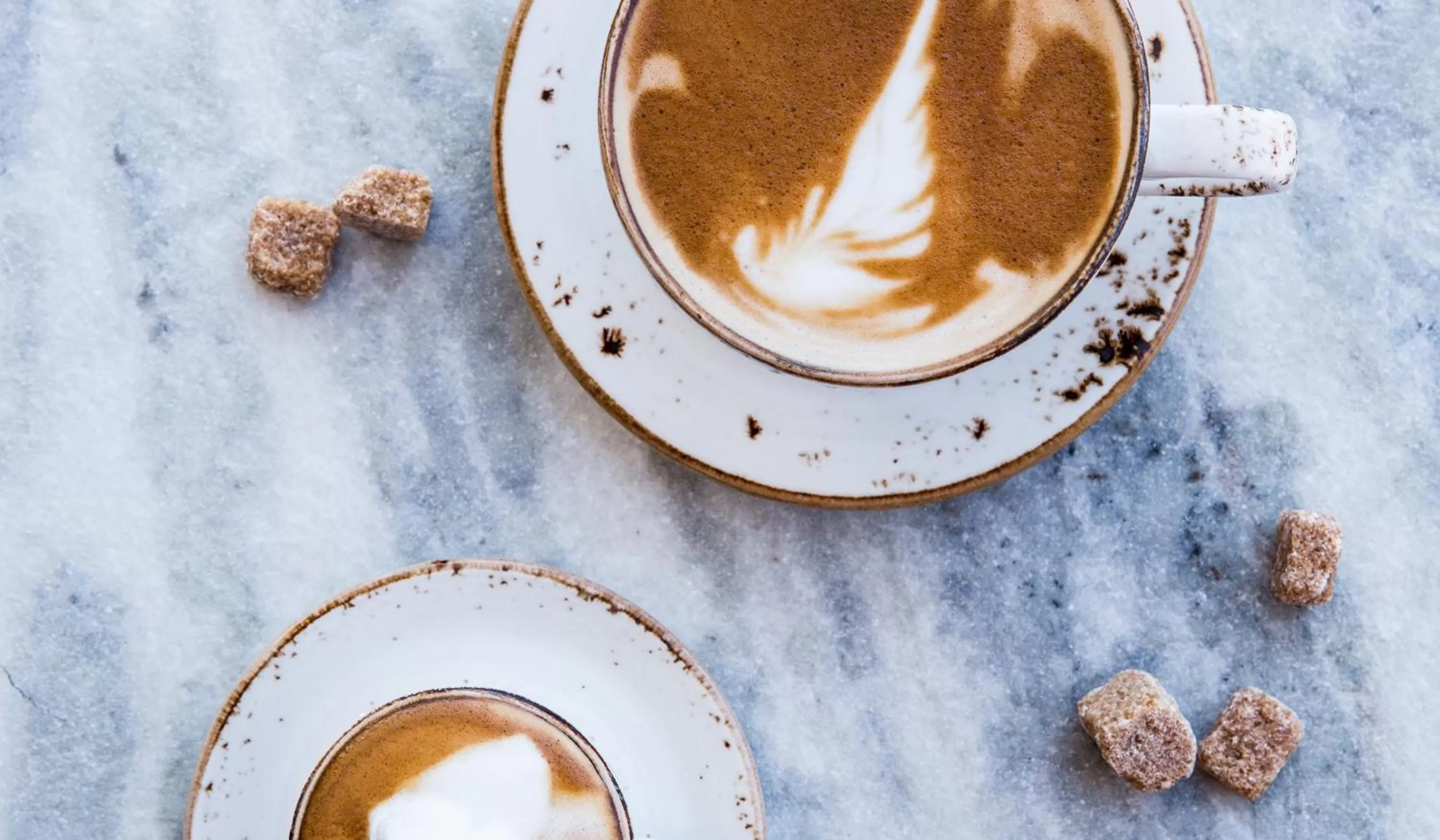 Restaurant/places to eat in Kimpton Alton Fisherman's Wharf by IHG