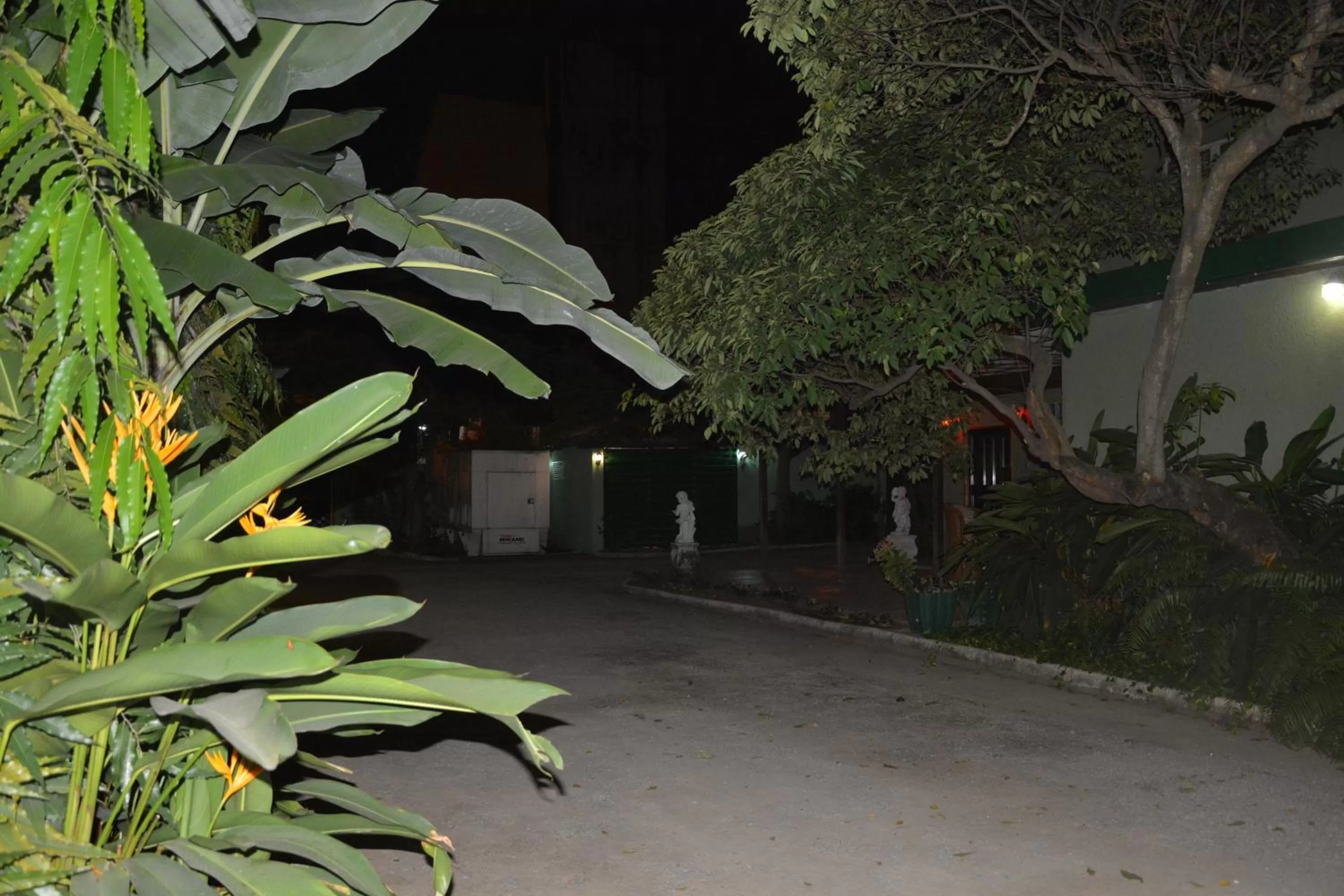 Garden view in Manuela Residence